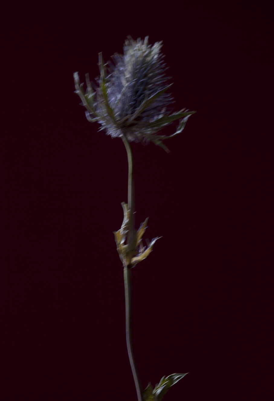 03.jpg