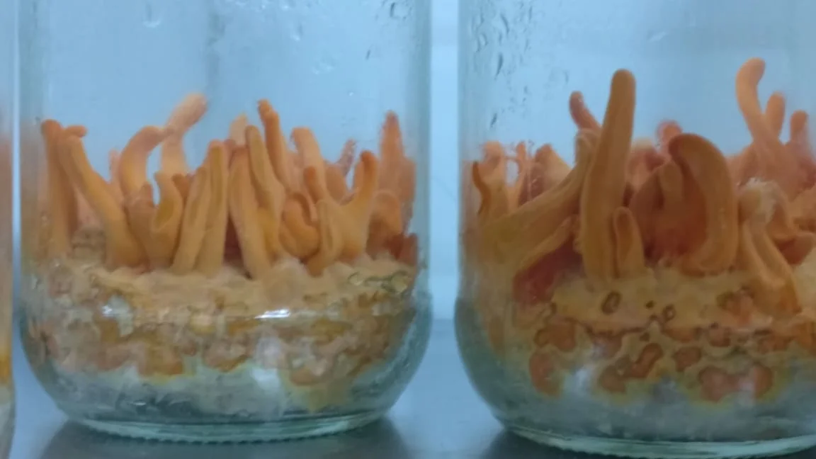 WhatsApp Image 2018-07-23 at 1.50.44 PM.jpeg