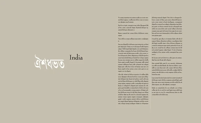 andreas_h_bitesnich_india_book_002.jpg
