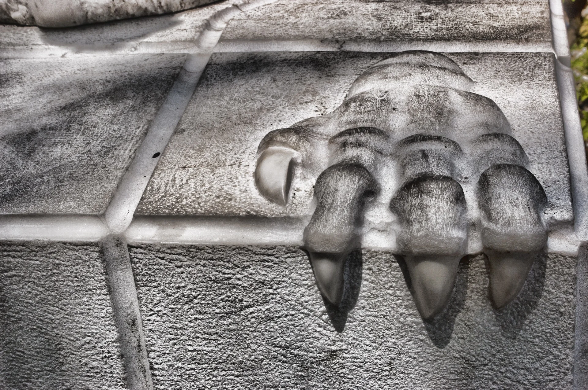 “Here Be Dragons”