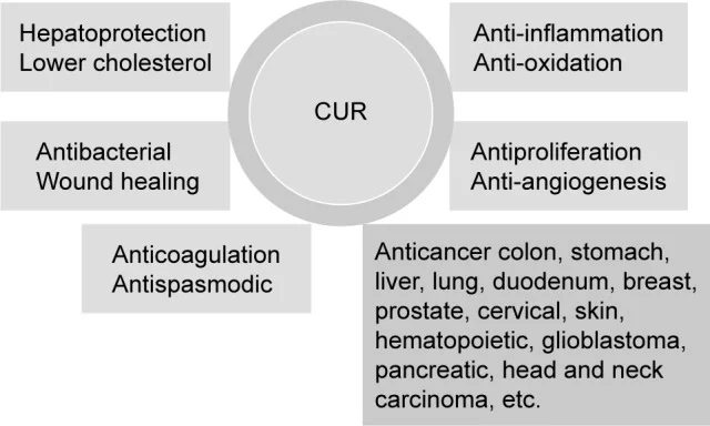 Copyright © 2017 Feng et al. This work is published and licensed by Dove Medical Press Limited