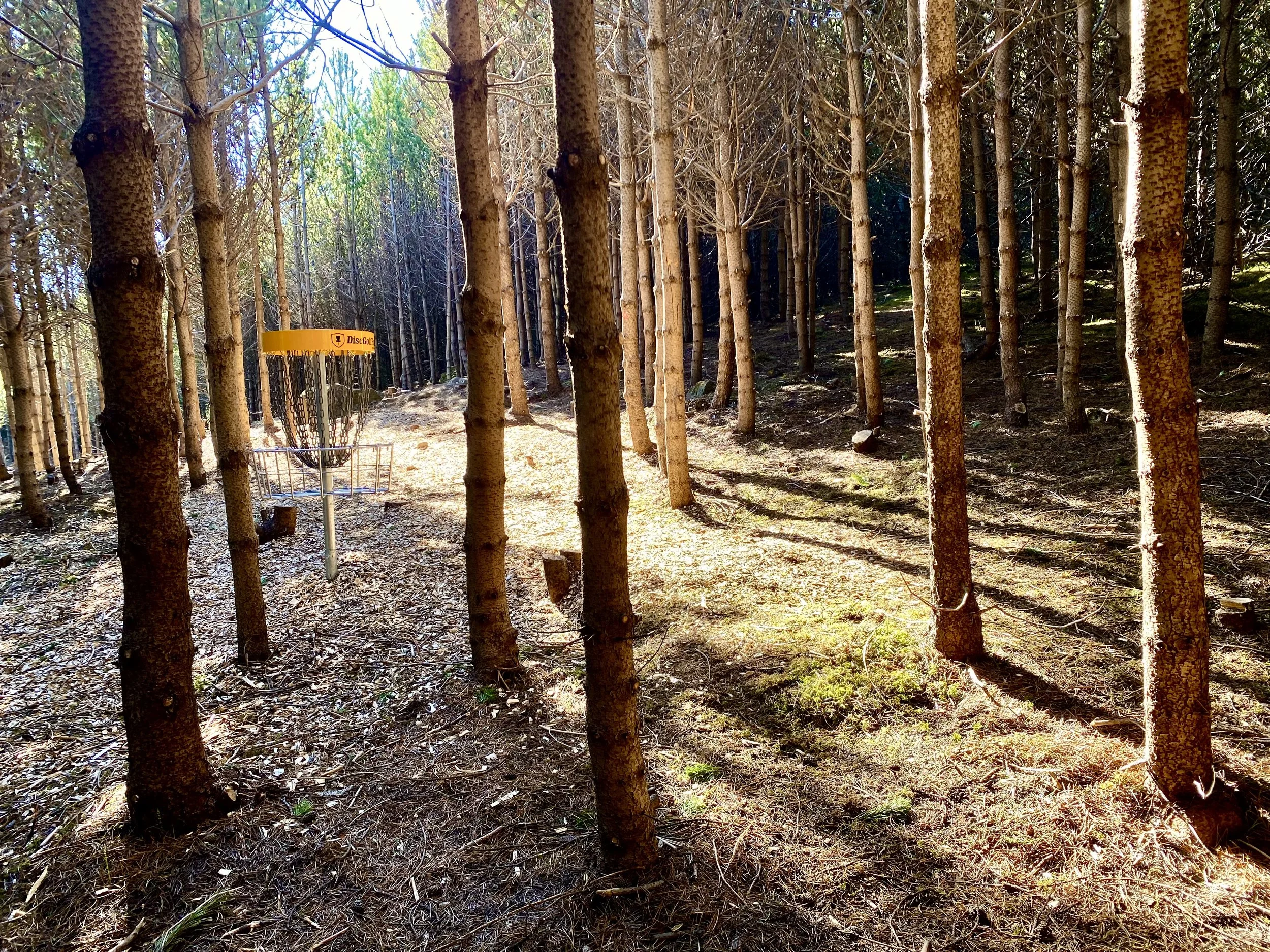 Aðalfundur FGR 2021