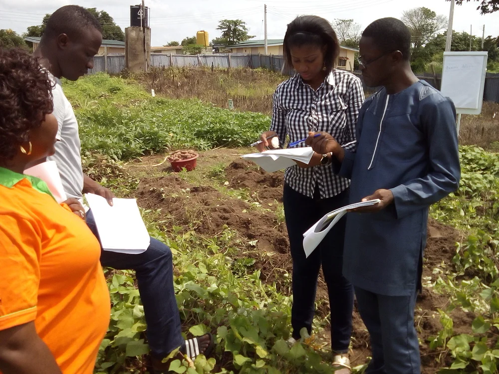 Stephanie Okpere in Sweetpotato field during the ToT Training, ARMTI, Ilorin.