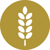 nutrition logo.png