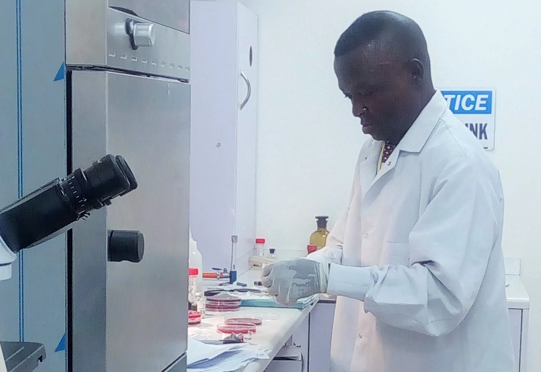Sokoto_Lab.jpg