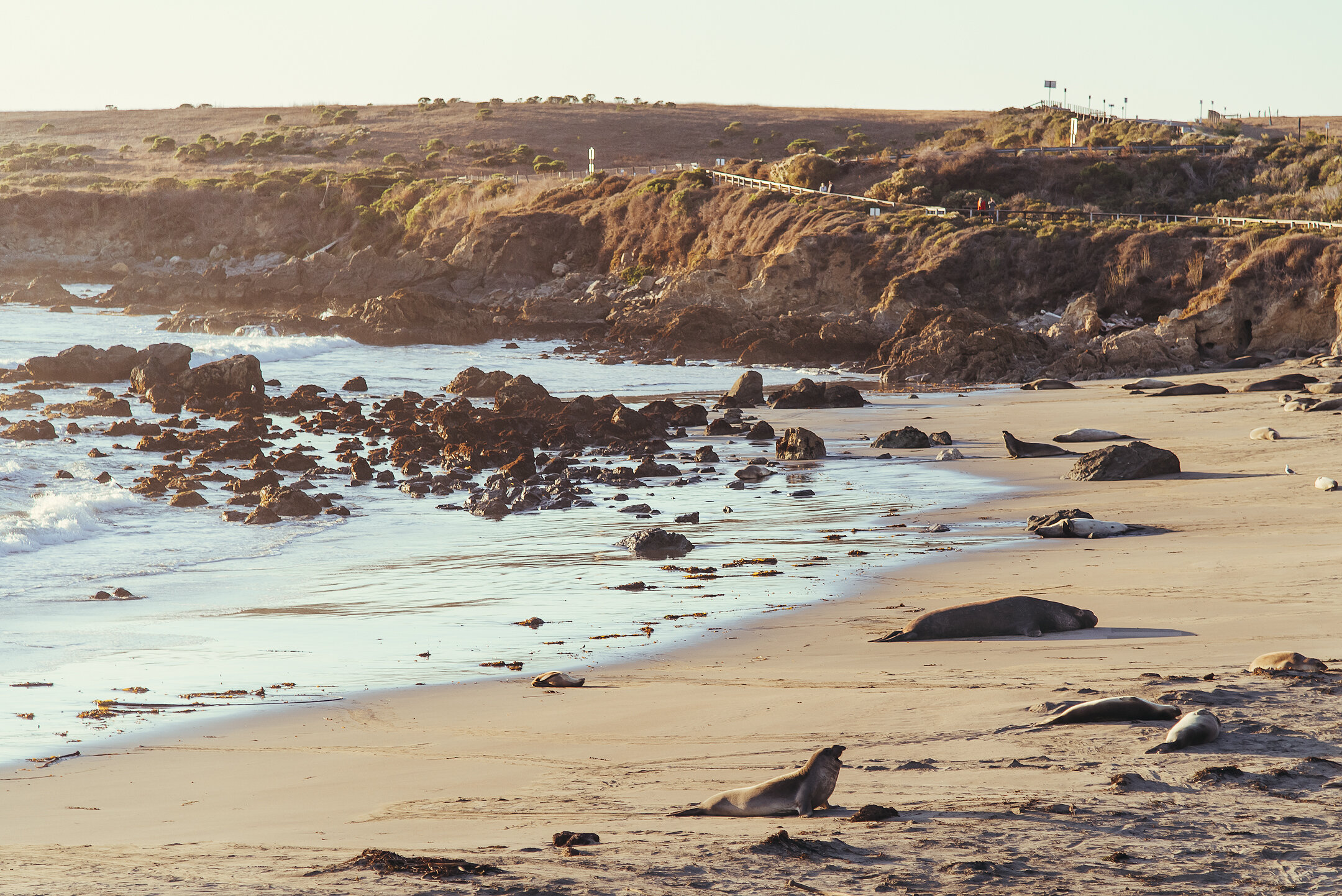 DSC_6117-Edit.jpg