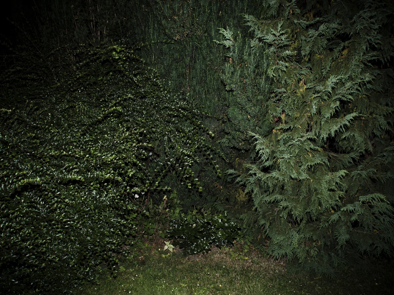 _7130086 (1).jpg