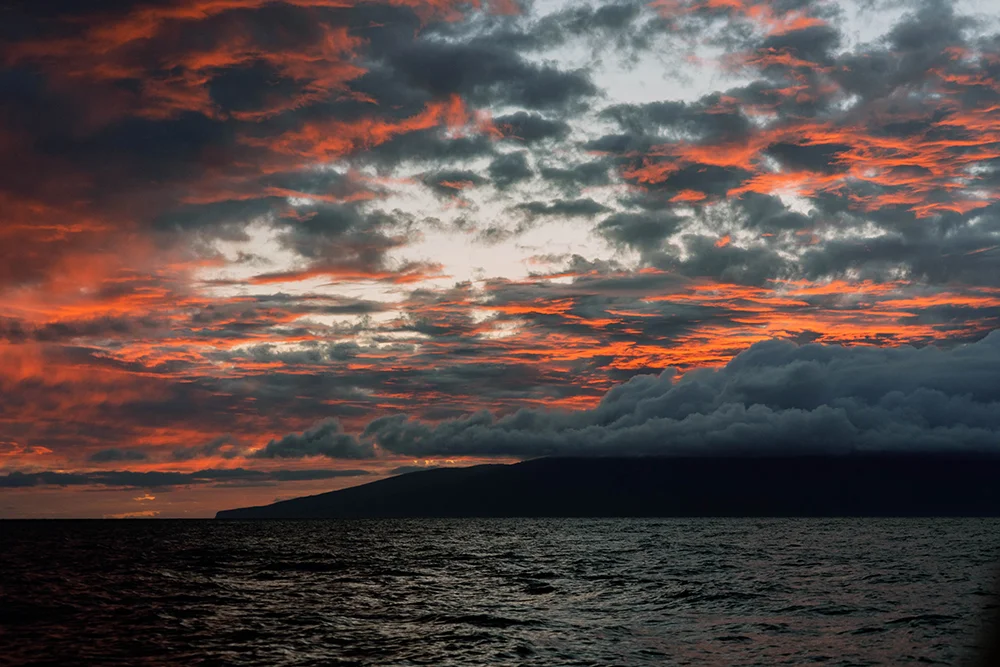 Whale Watching Sunset Maui Hawaii to do