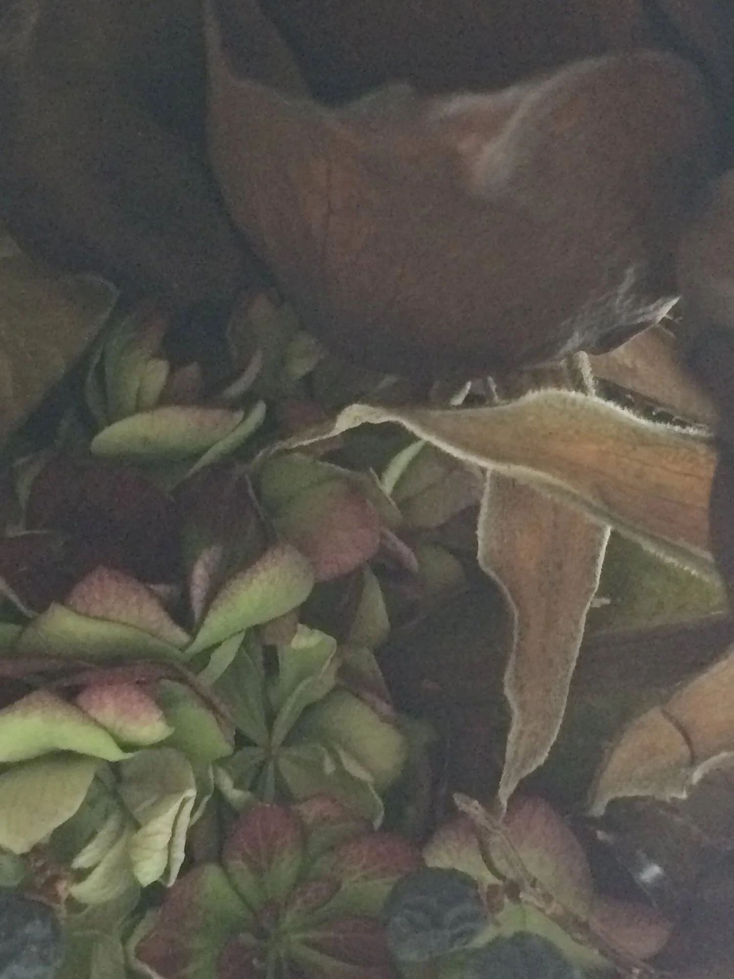 2000_IMG_6030-helle Linien-weiter.jpg