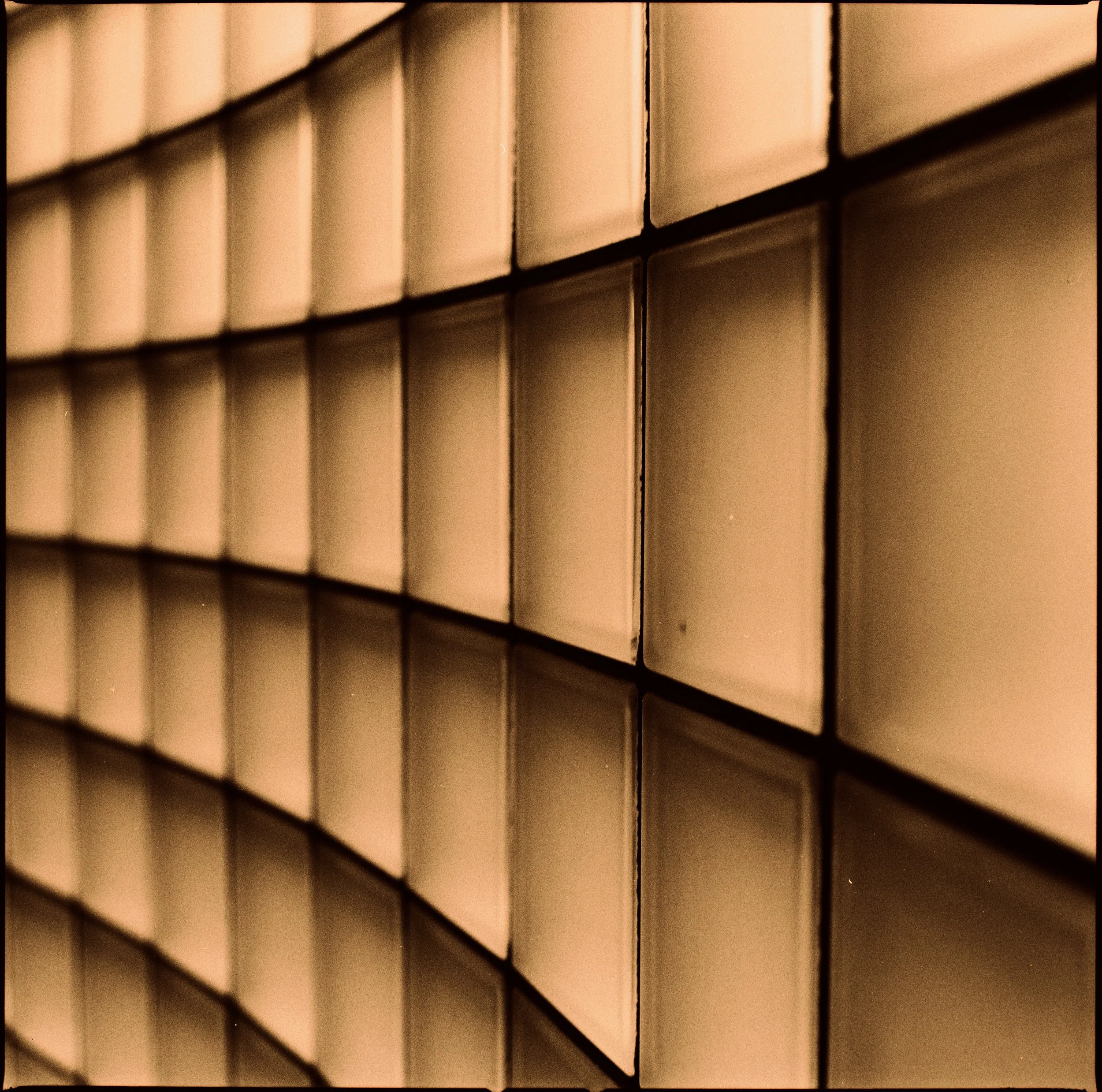 _DSC8083.jpeg