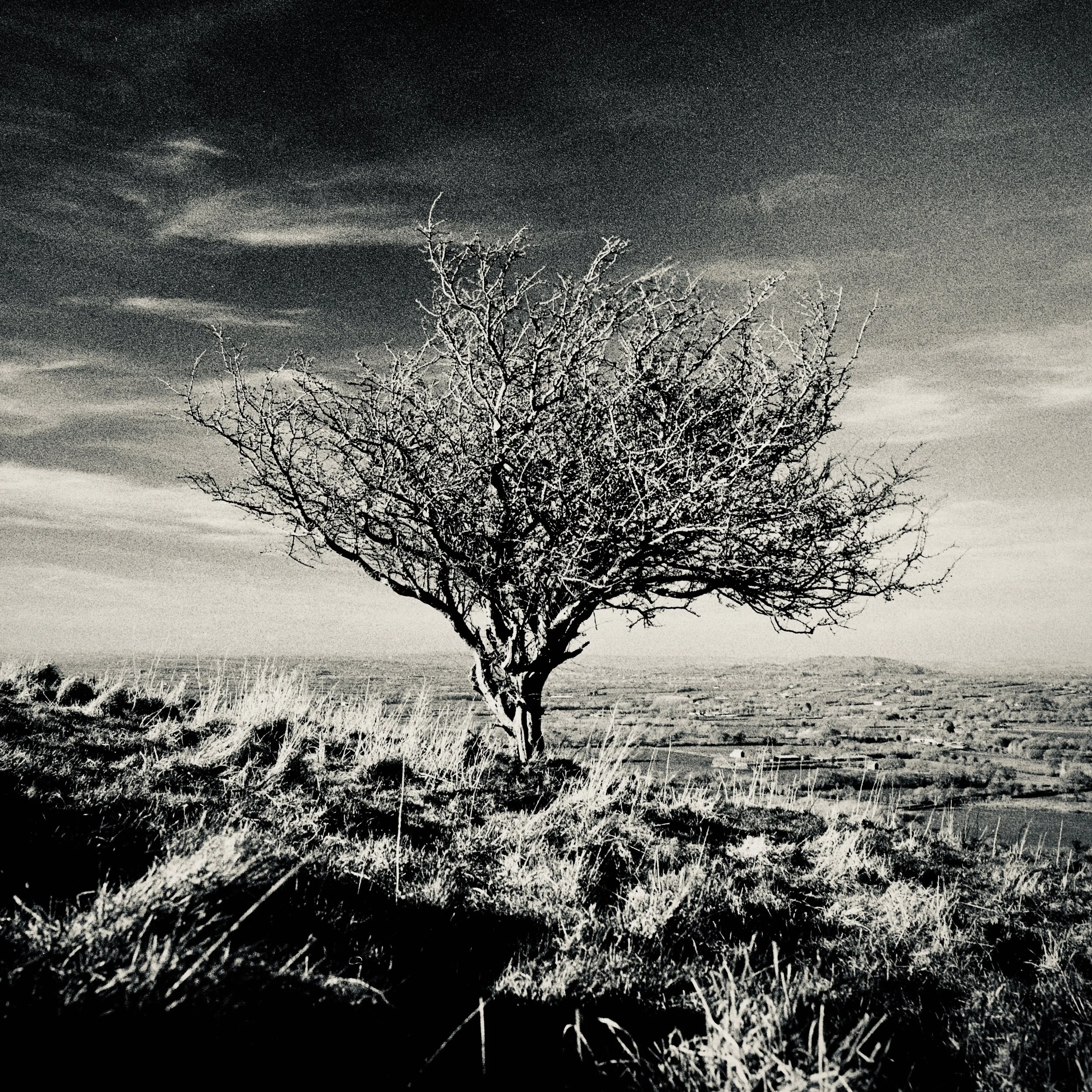 _DSC8006 2.jpeg