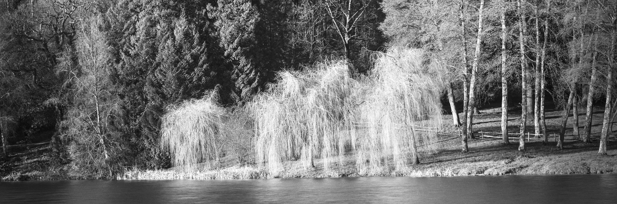 Stourhead Gardens-7844.JPG