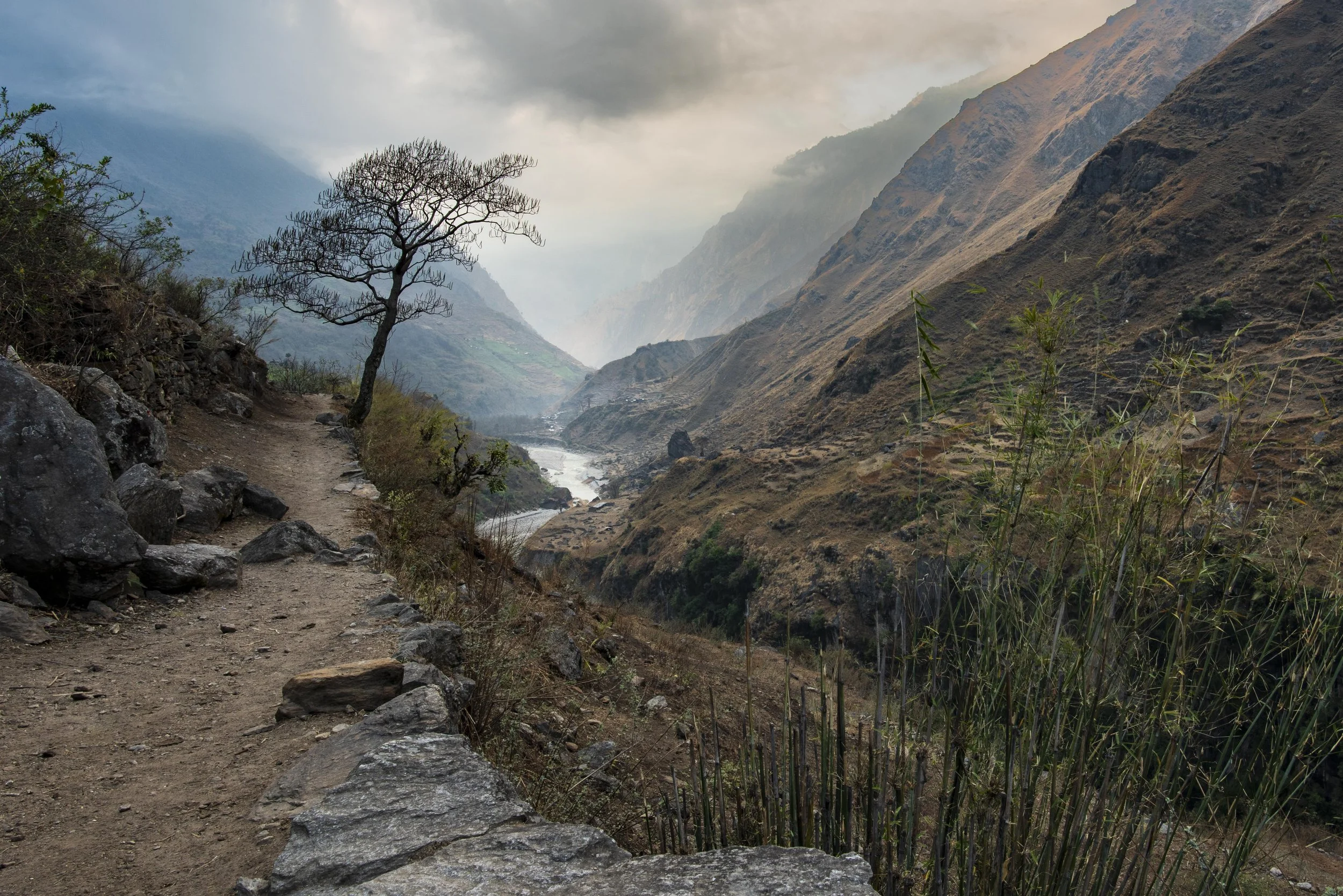 Manasula Nepal-4.JPG