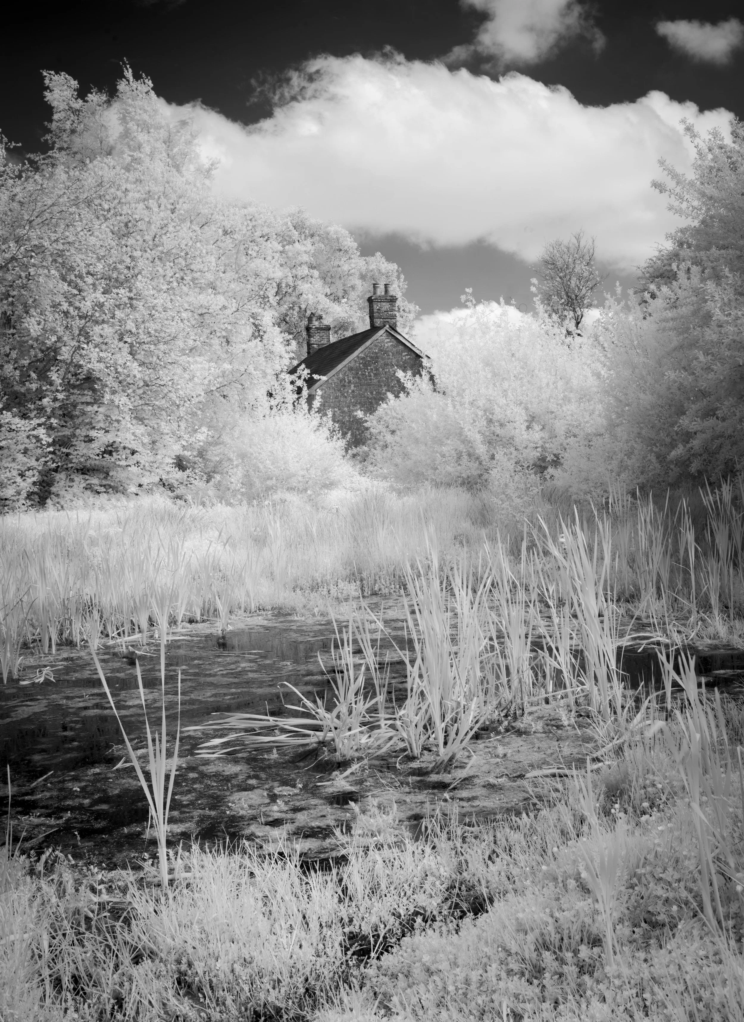 IR Enmoorgreen -2468.JPG