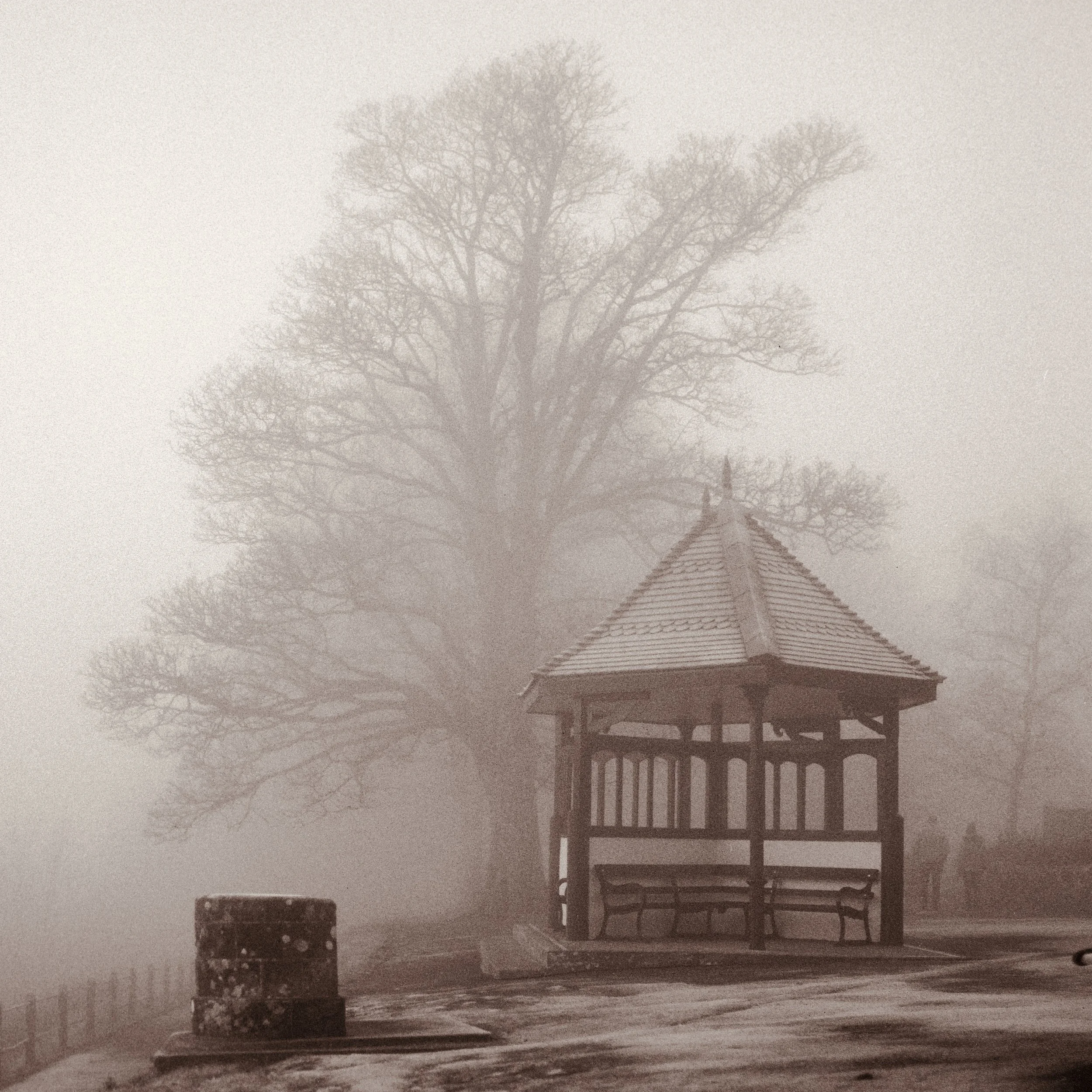 _DSC7883.jpeg