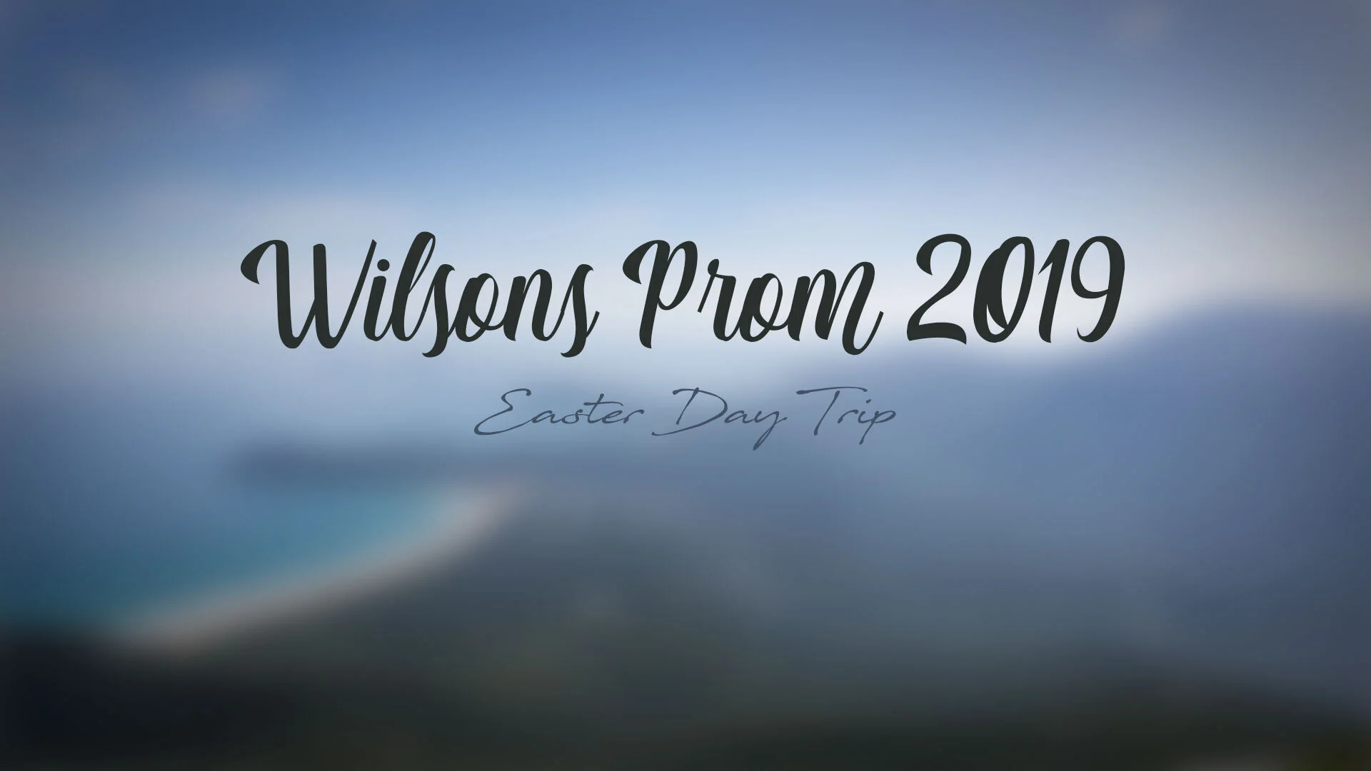 Wilson's Prom 2019