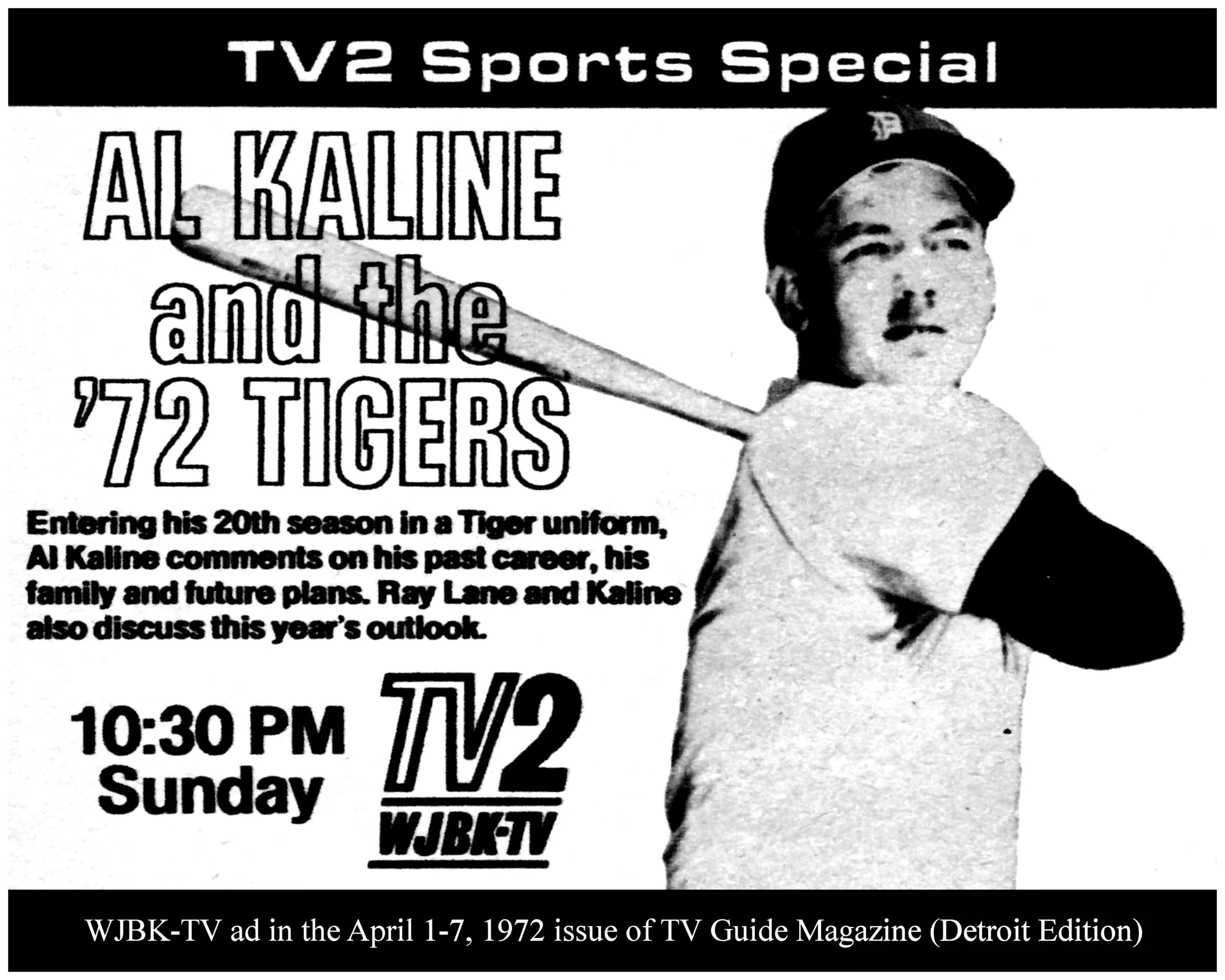 Tigers720402.jpg