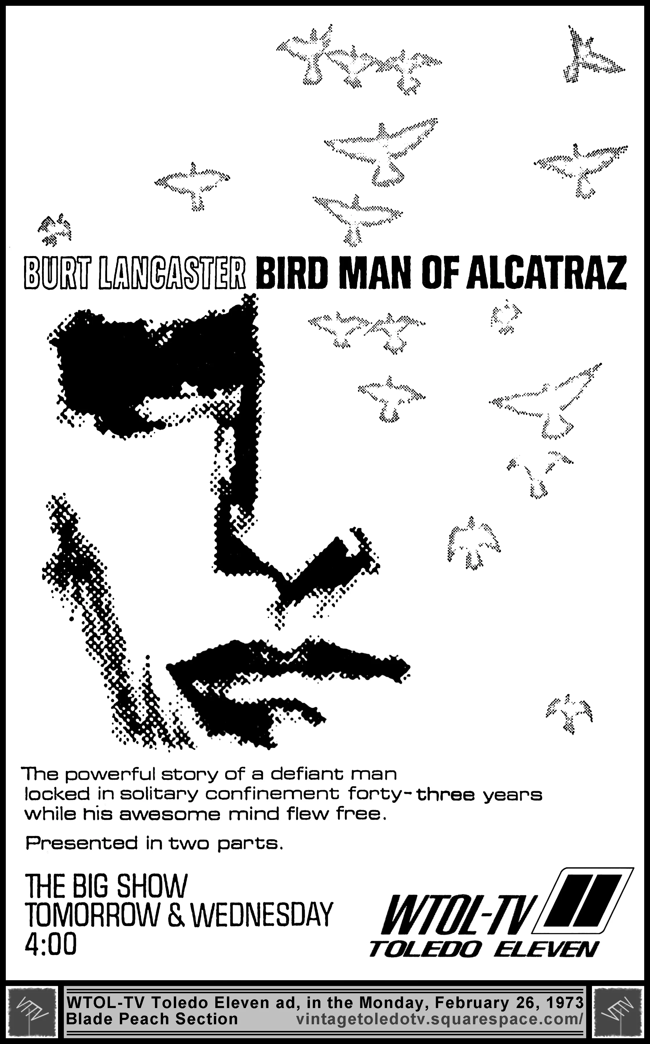 11Mov730226.jpg