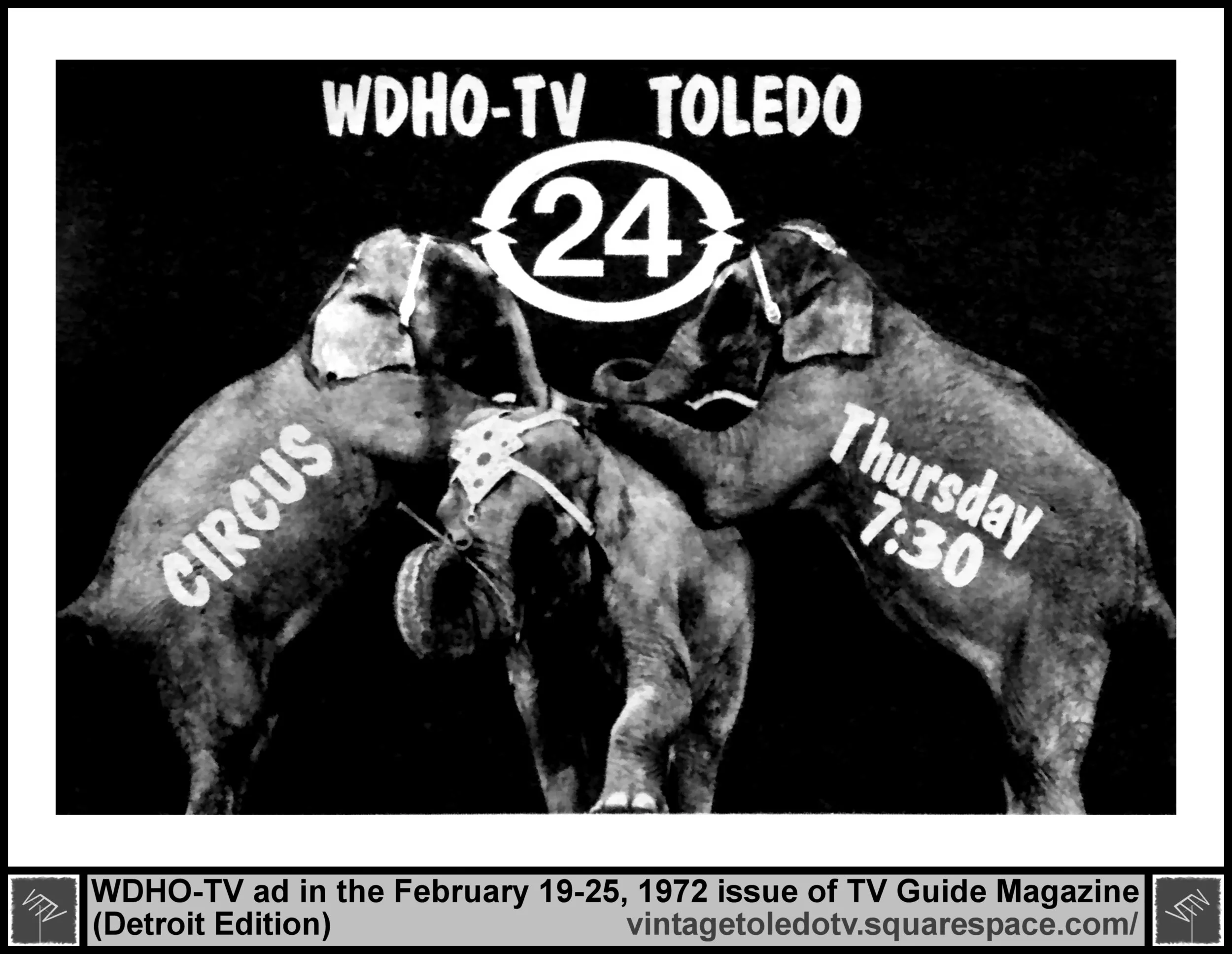 Circus720224.jpg