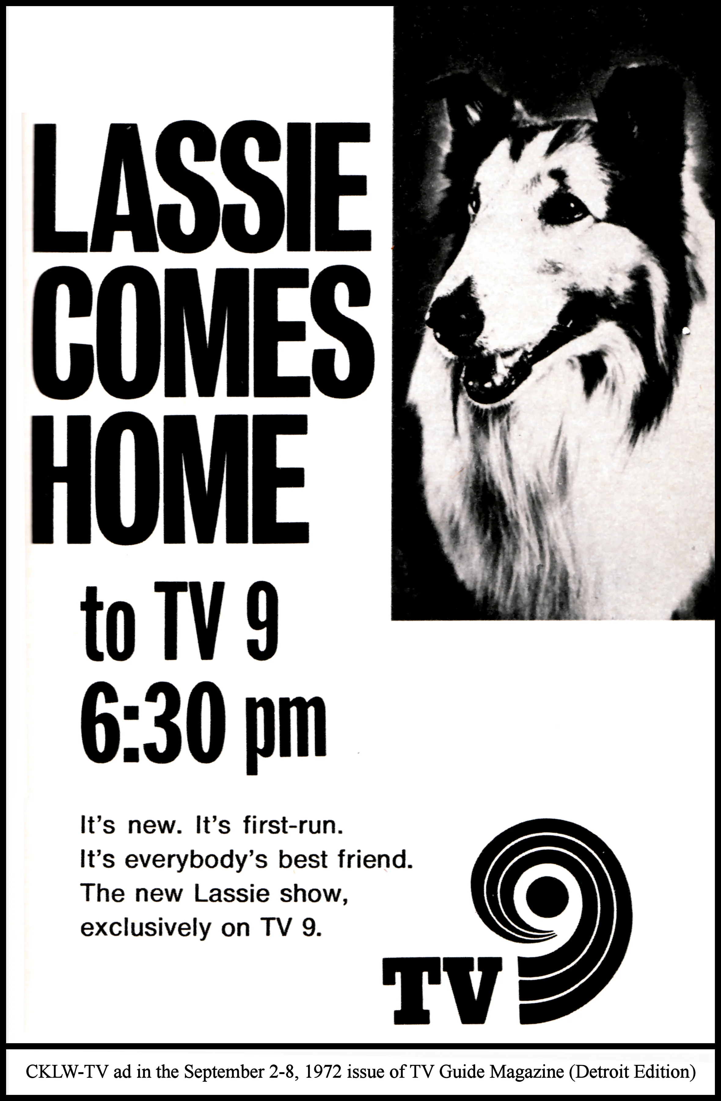 Lassie720908.jpg