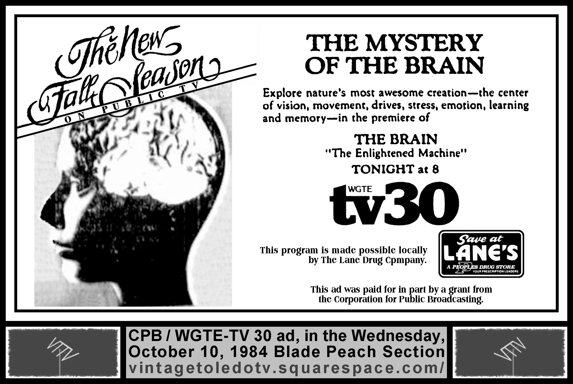 Brain841010.jpg