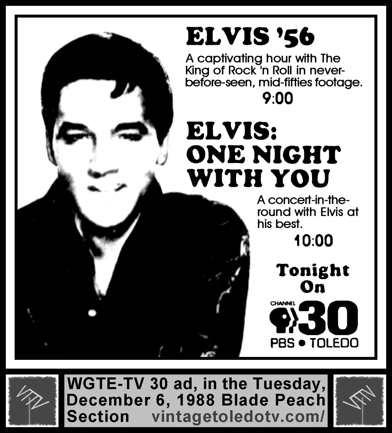 Elvis881206.jpg