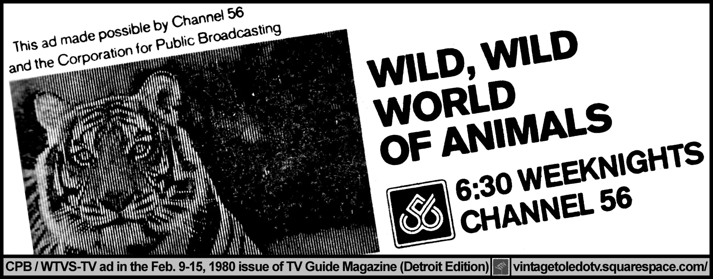 WWWA800211.jpg