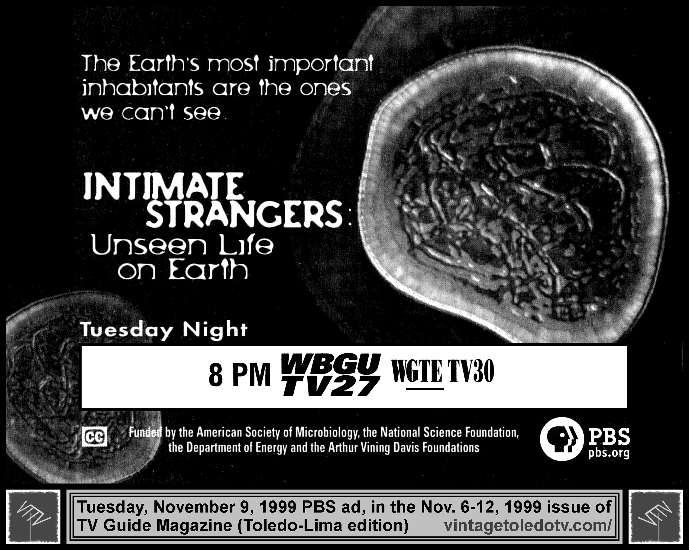 IntStrang991109.jpg