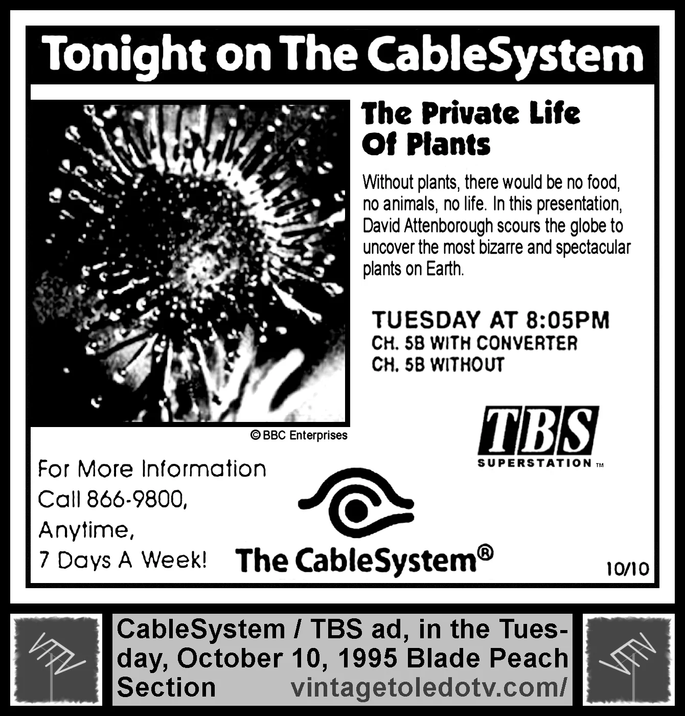 TBS951010.jpg