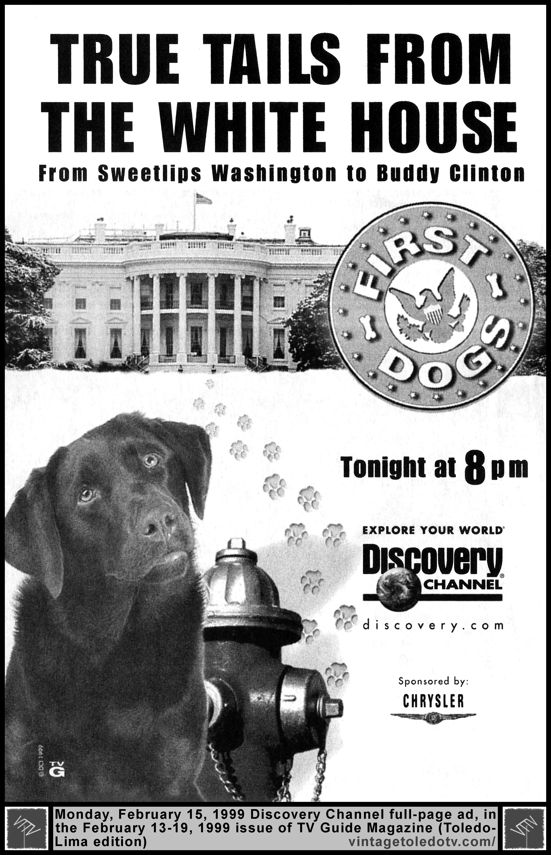 1stDogs990215.jpg