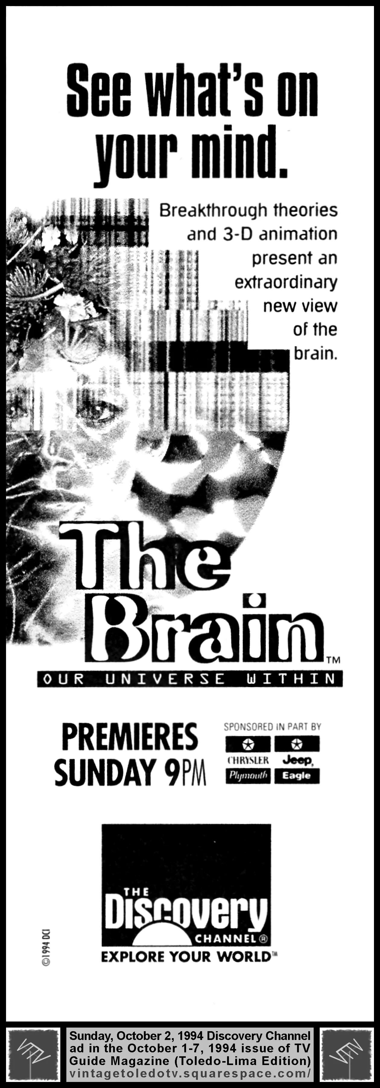 Brain941002.jpg