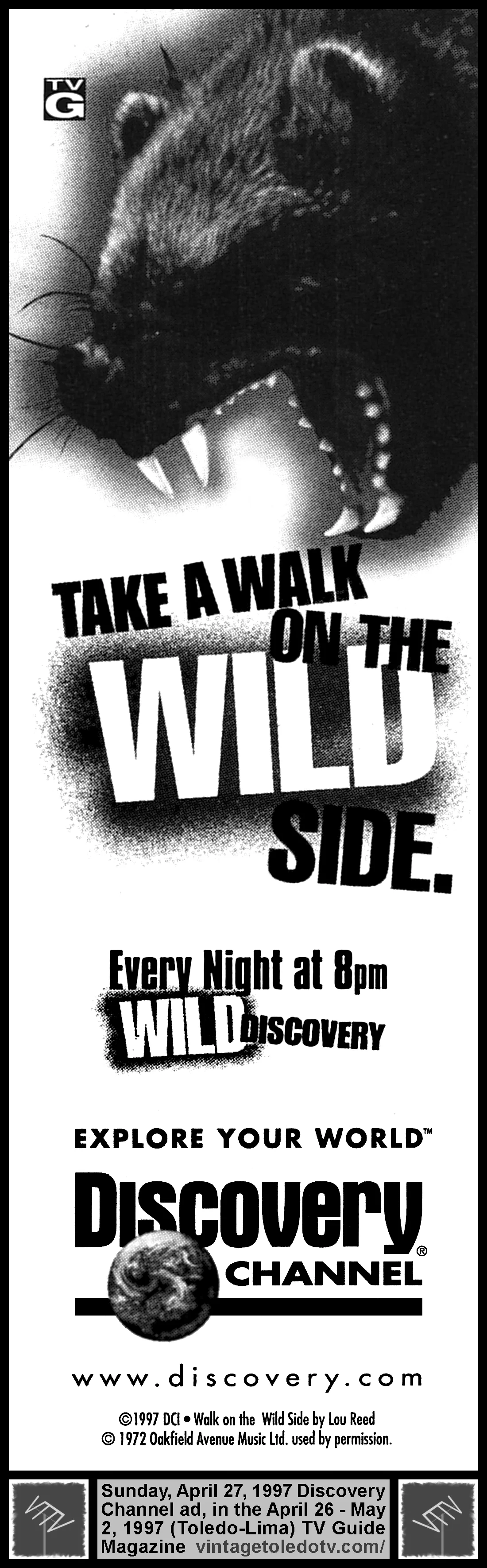 Wild970427.jpg