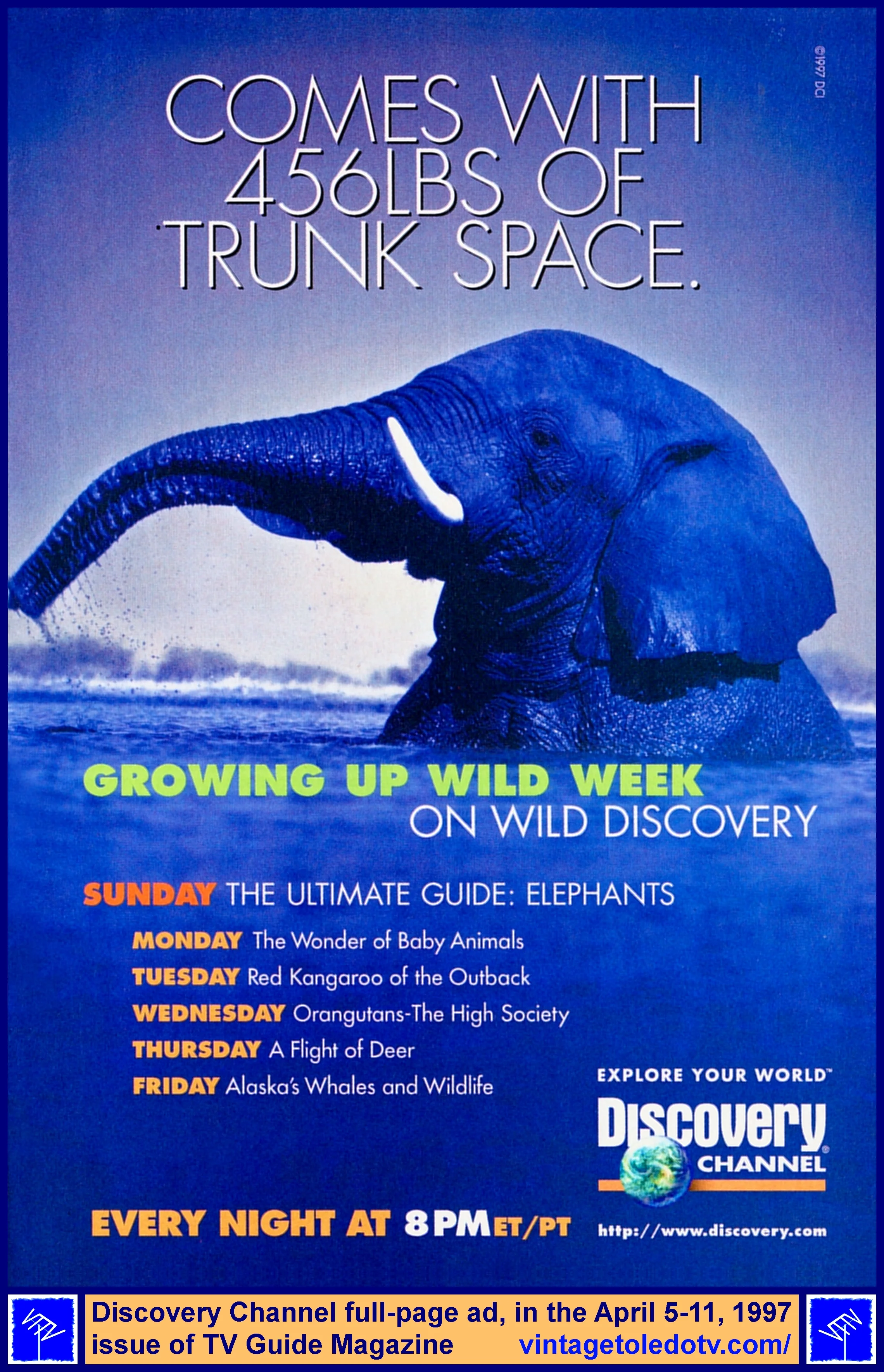 Wild970405.jpg