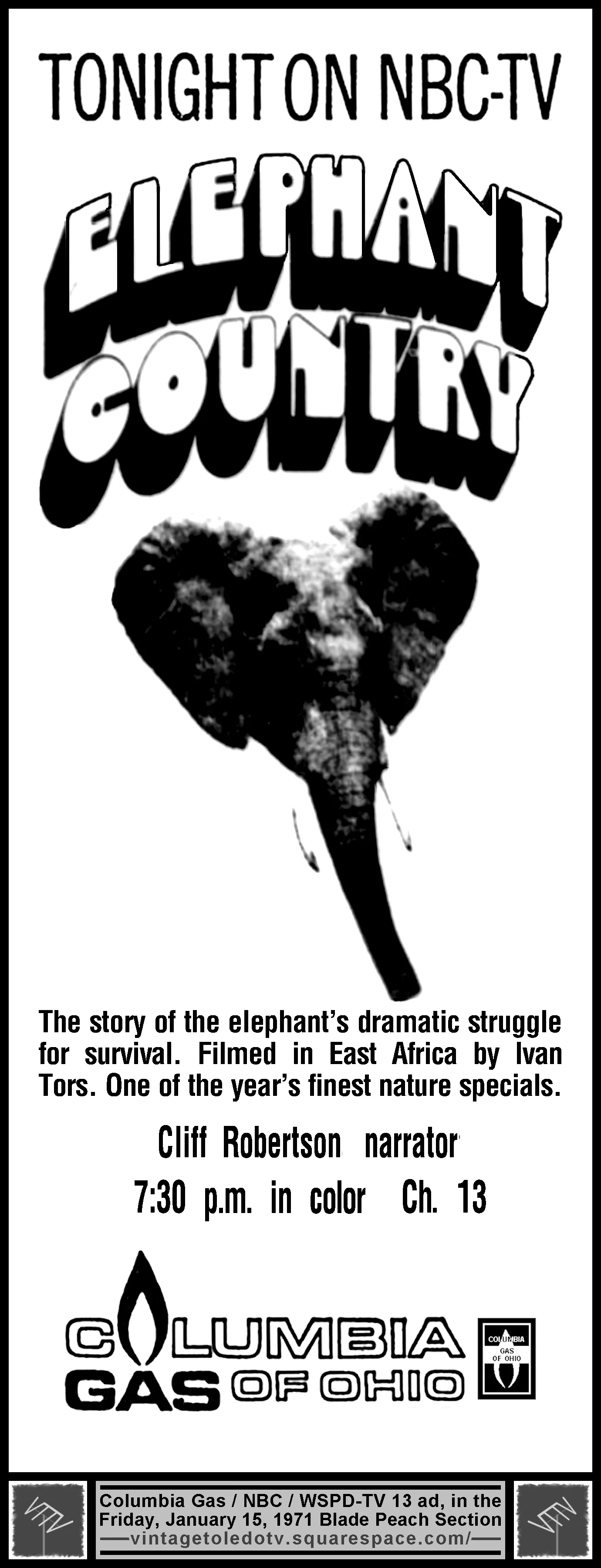 710115Elephant.jpg