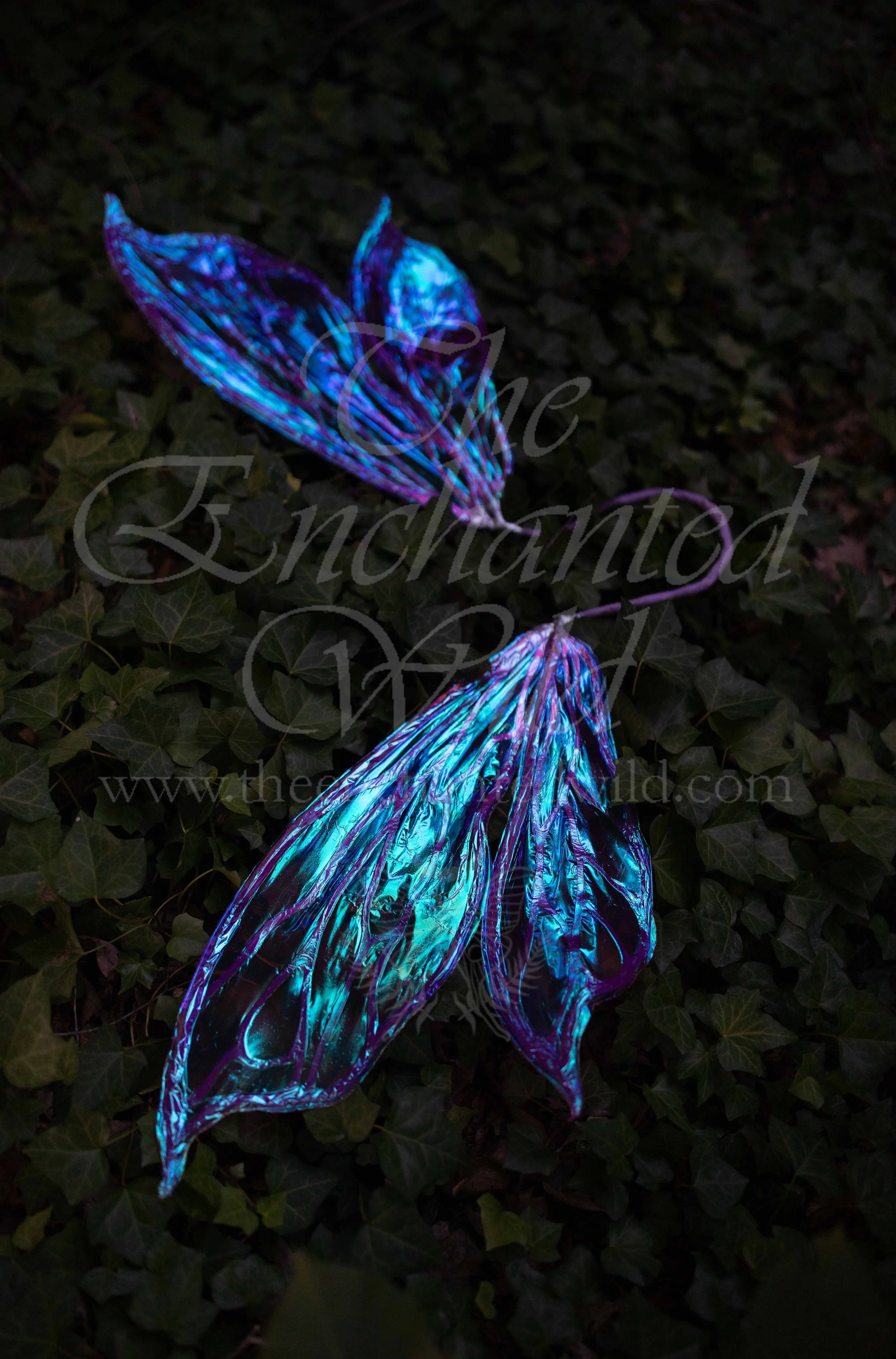 !Small Versions of Wing Files-123.JPG