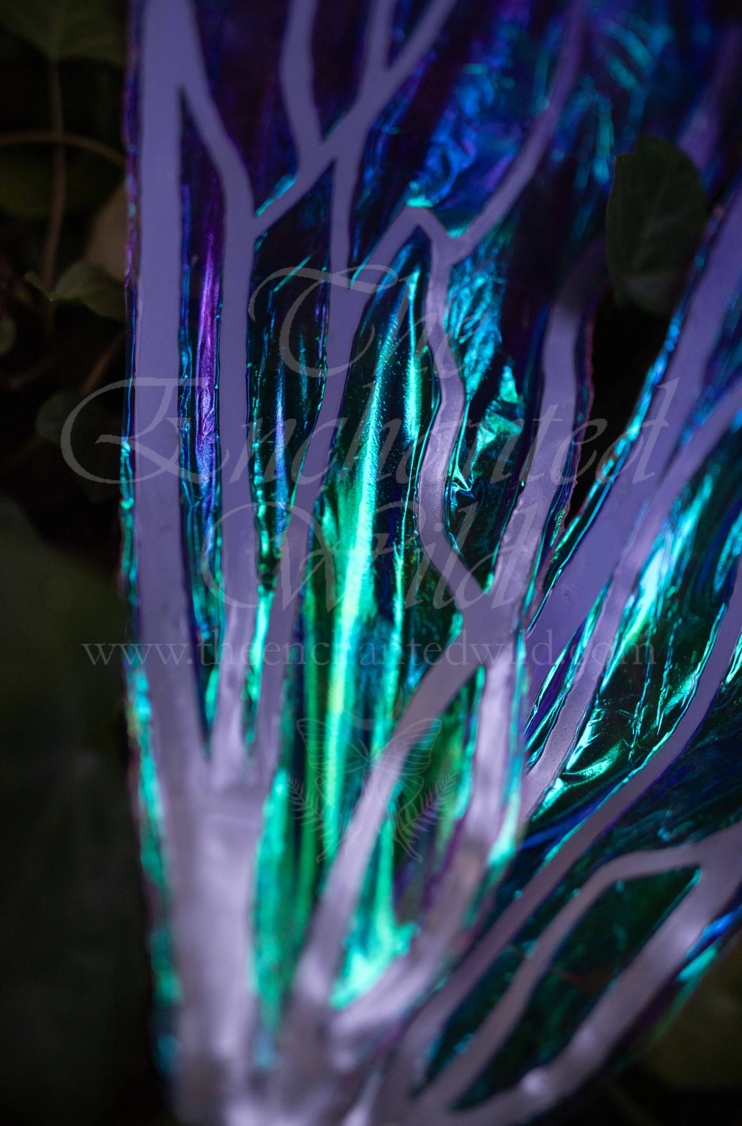 !Small Versions of Wing Files-111.JPG