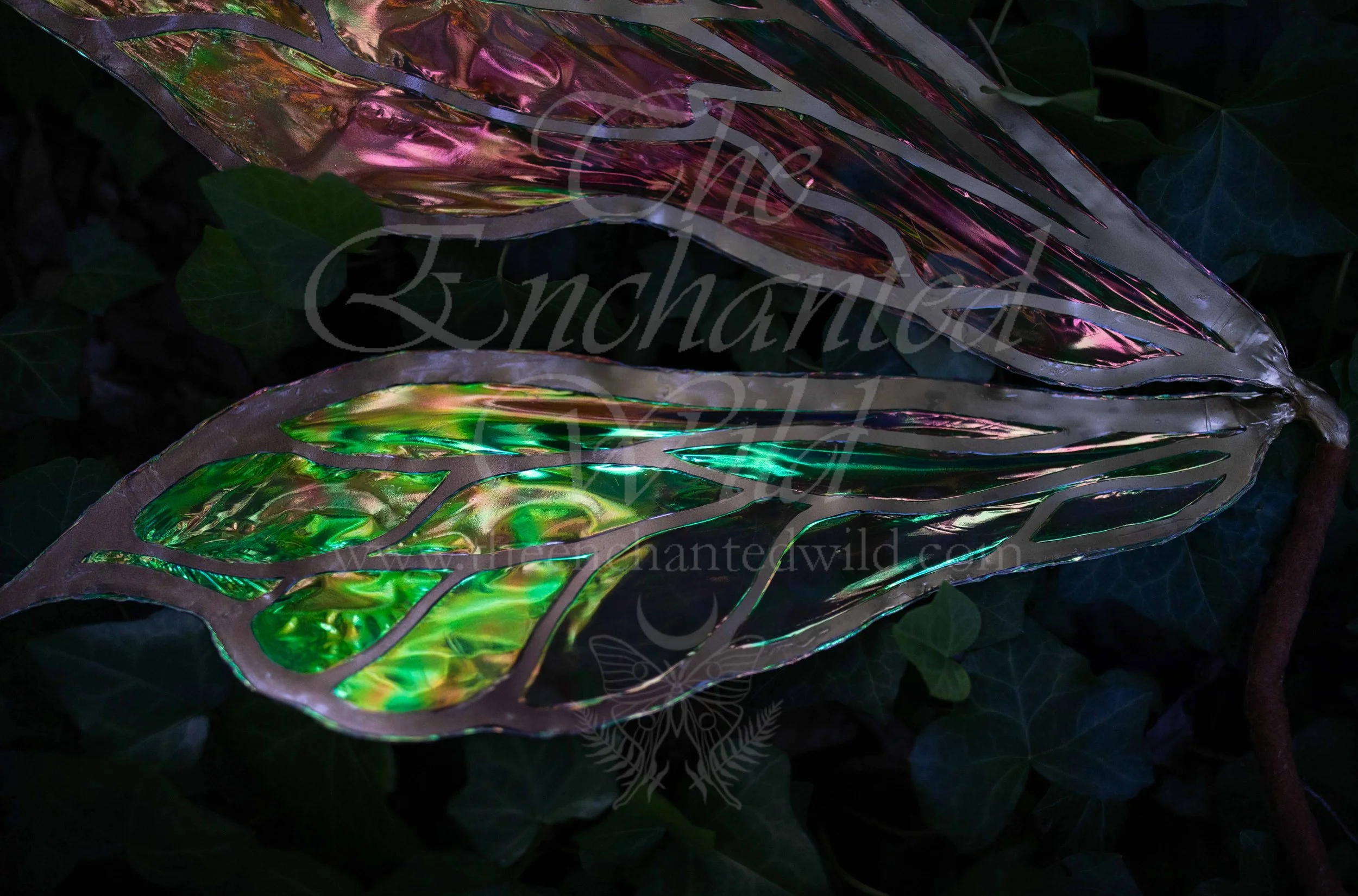 !Small Versions of Wing Files-47.JPG