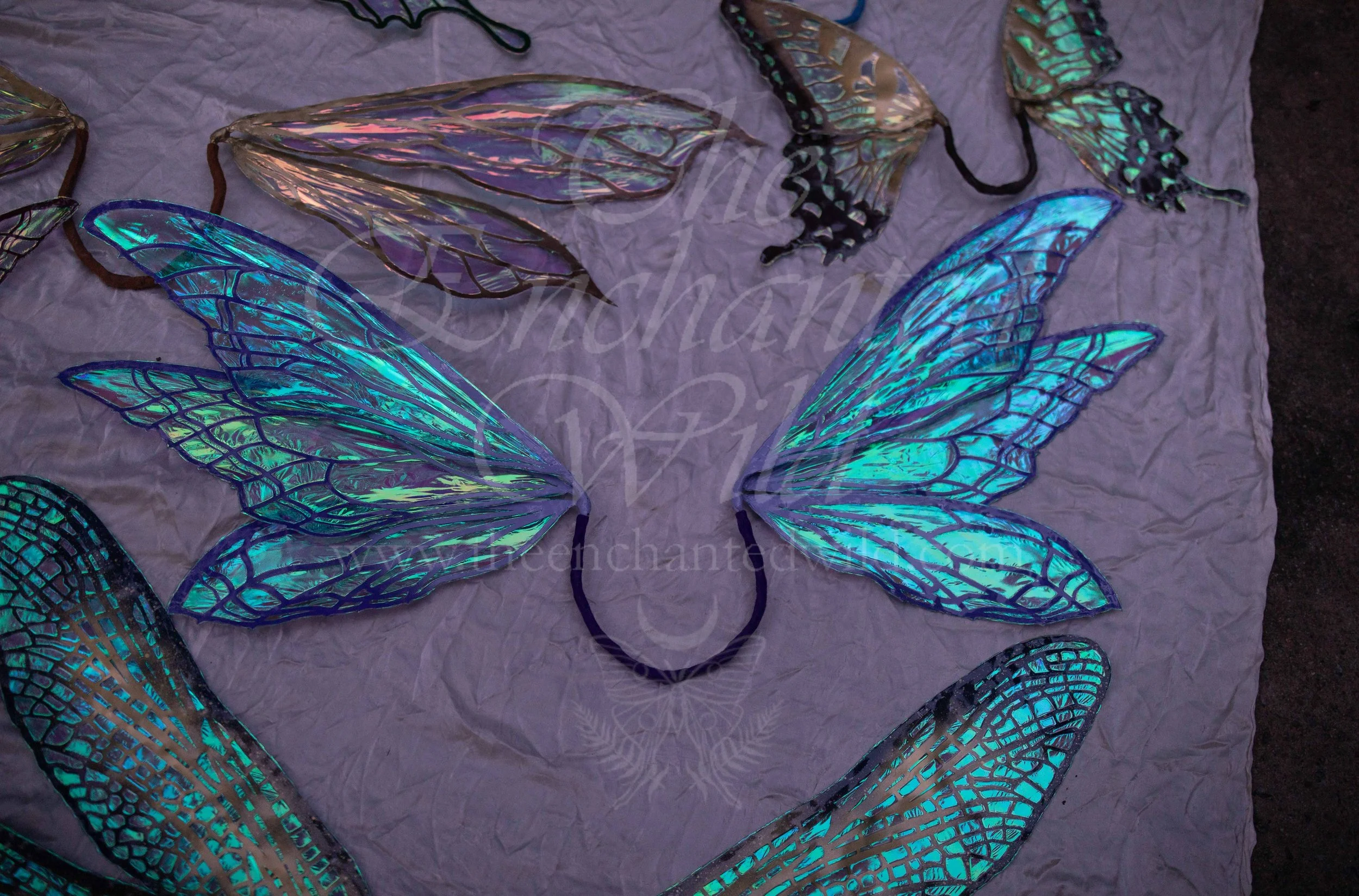 !Small Versions of Wing Files-168.JPG