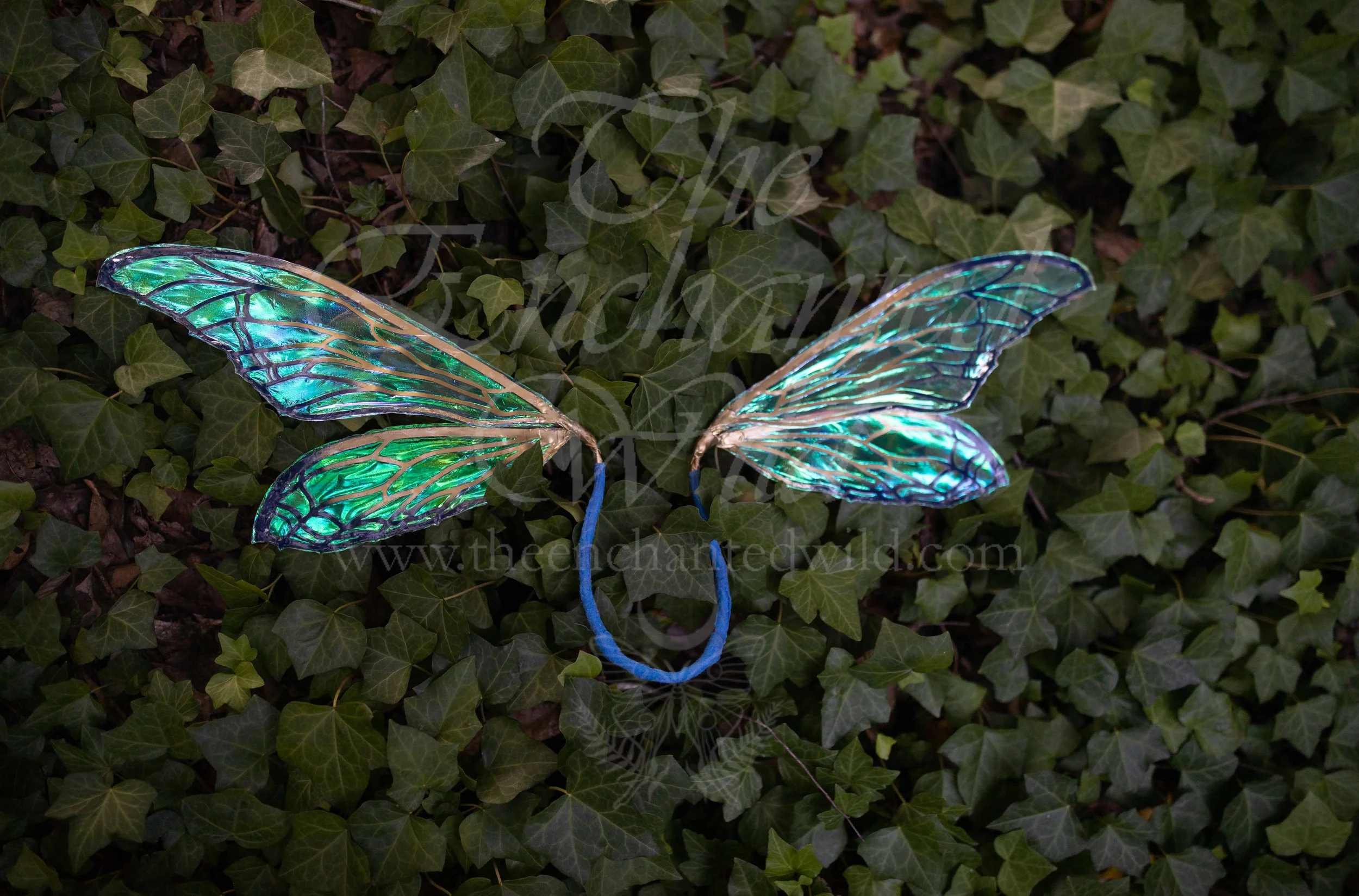 !Small Versions of Wing Files-126.JPG