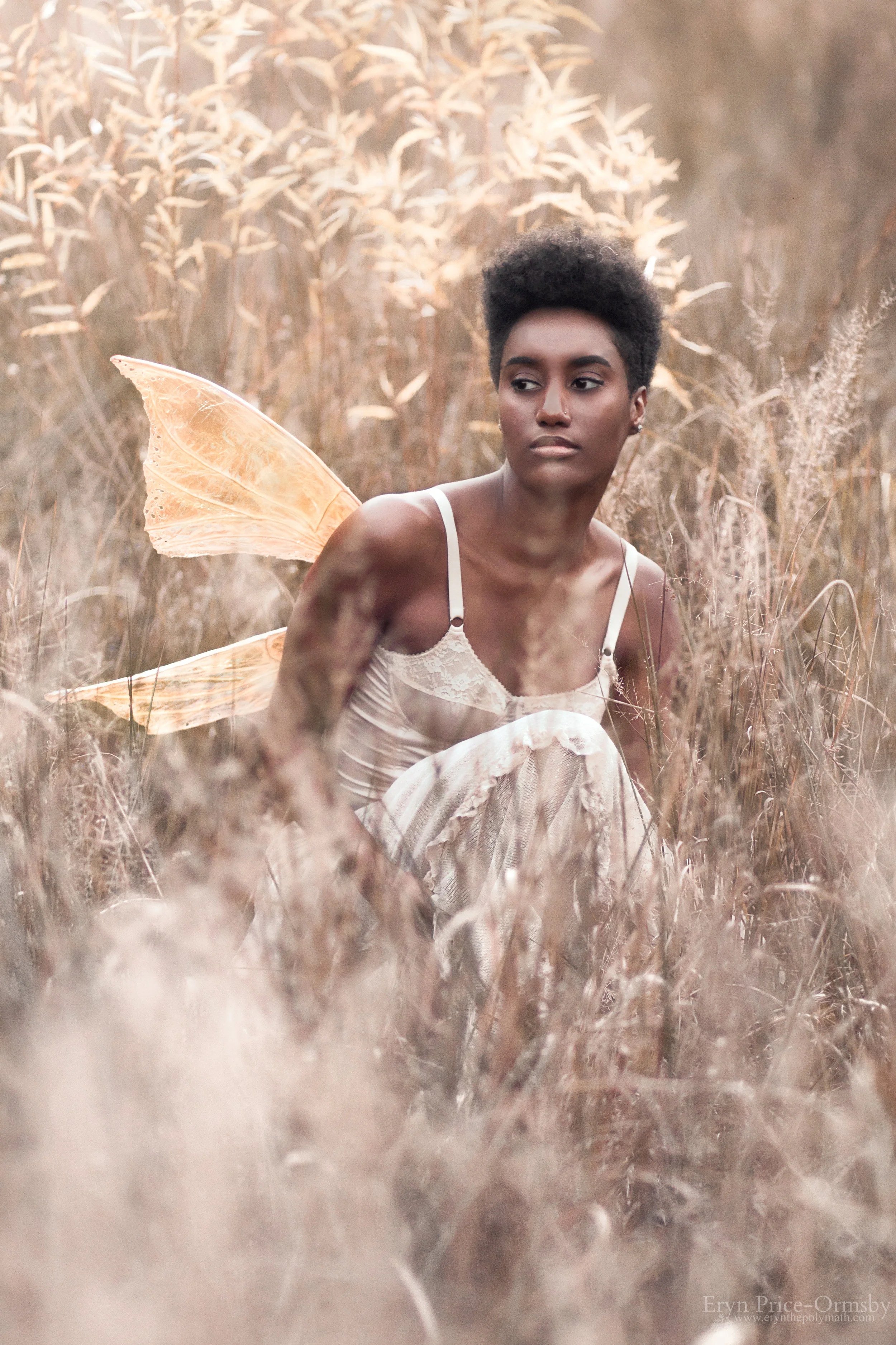 Faerie-2.jpg