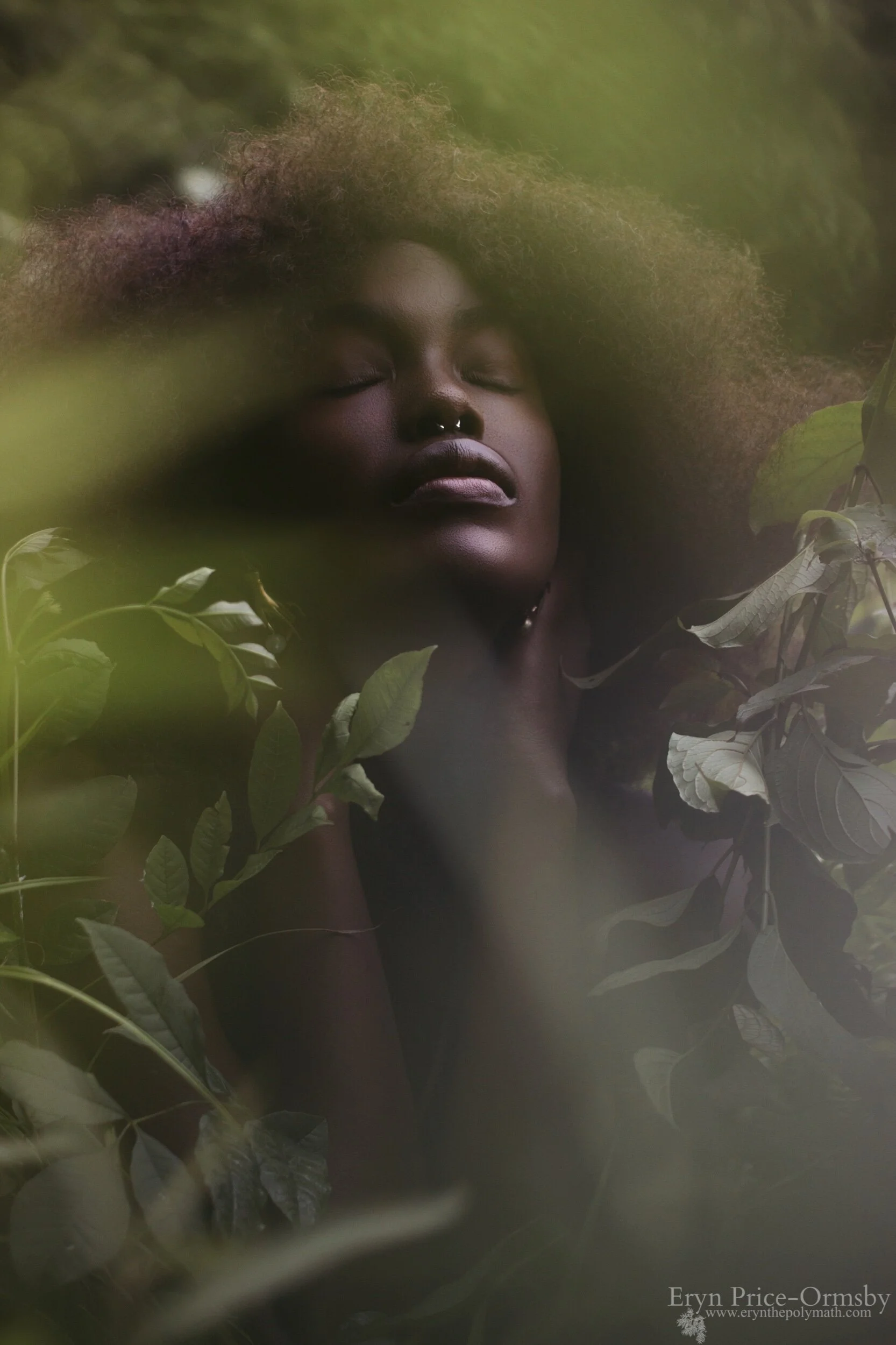 Tanerelle-8.jpeg