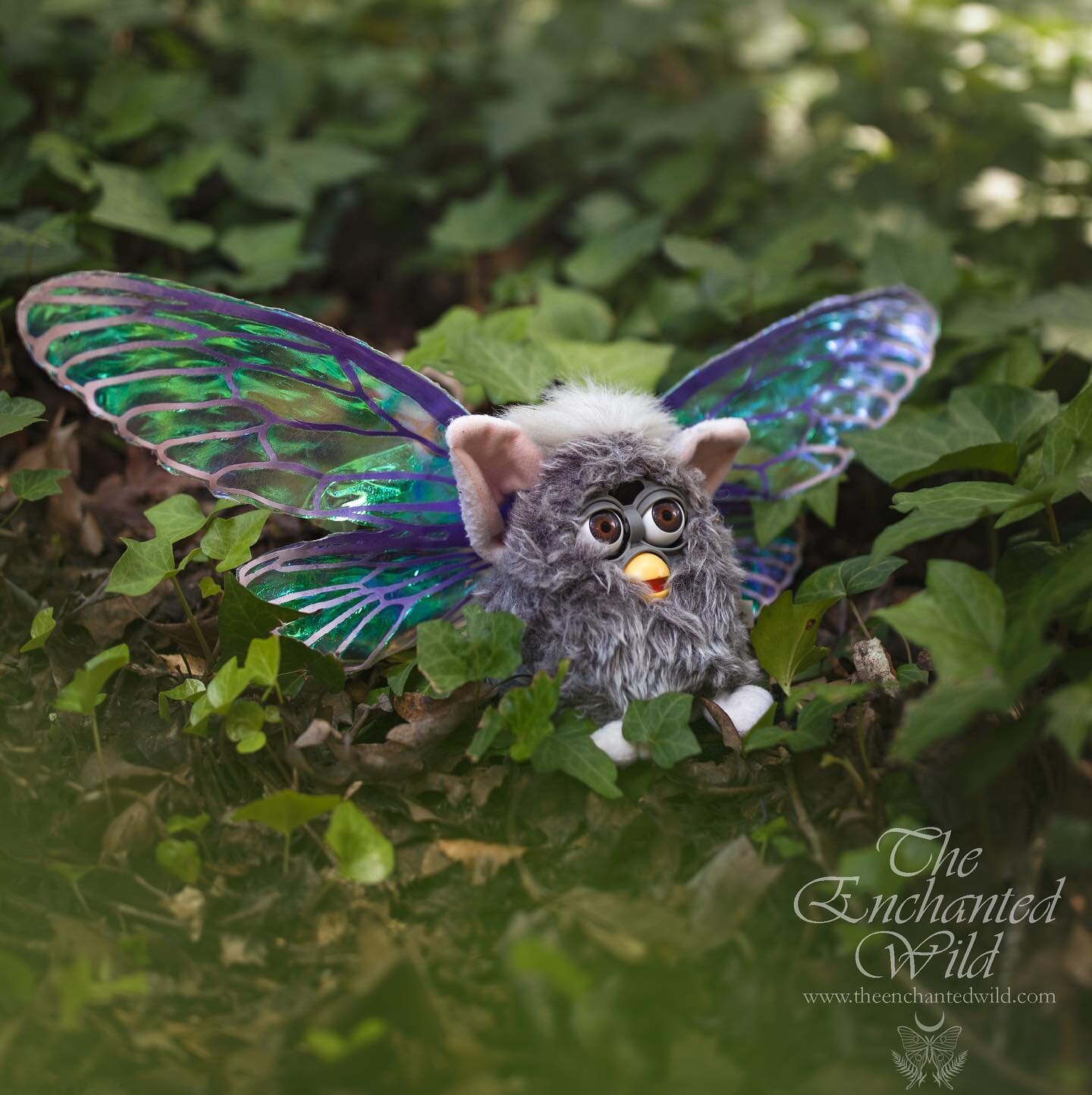 I&rsquo;ve finally updated my site with the varieties of customisable pet wings! Our animal companions are so magical and if yours enjoys playing dress-up they can now be a faerie with you! My Furby friend modelled each size available both to help vi
