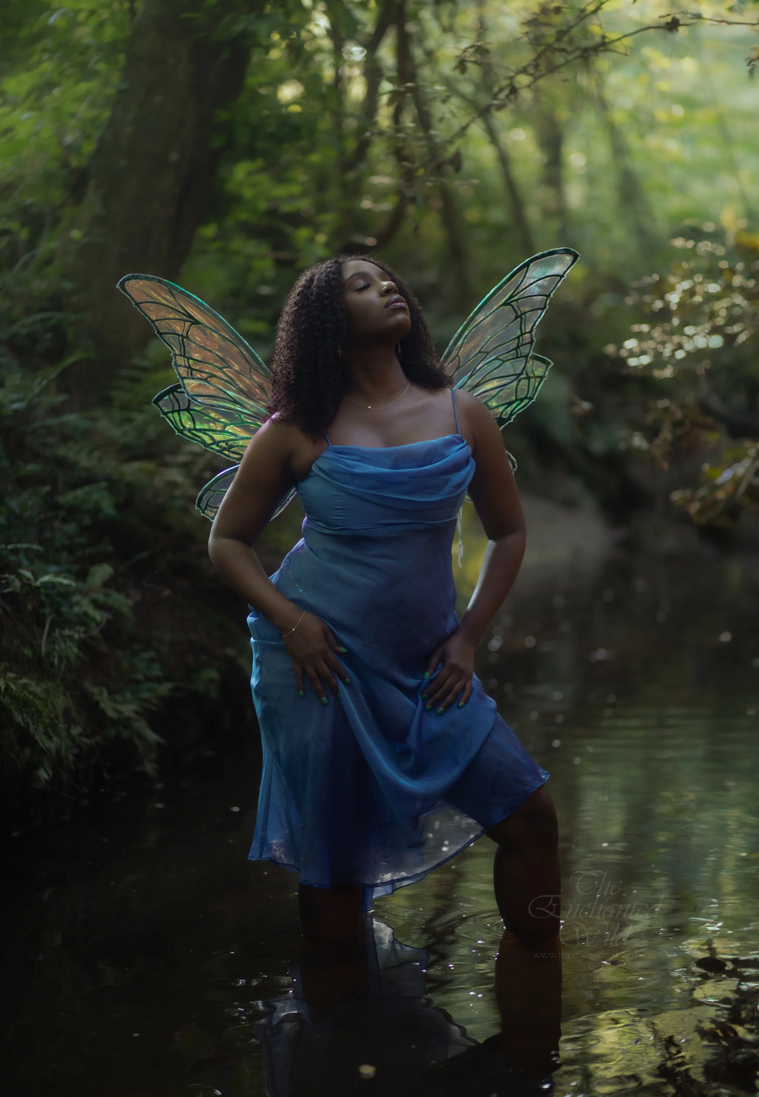 Faerie-3.JPG