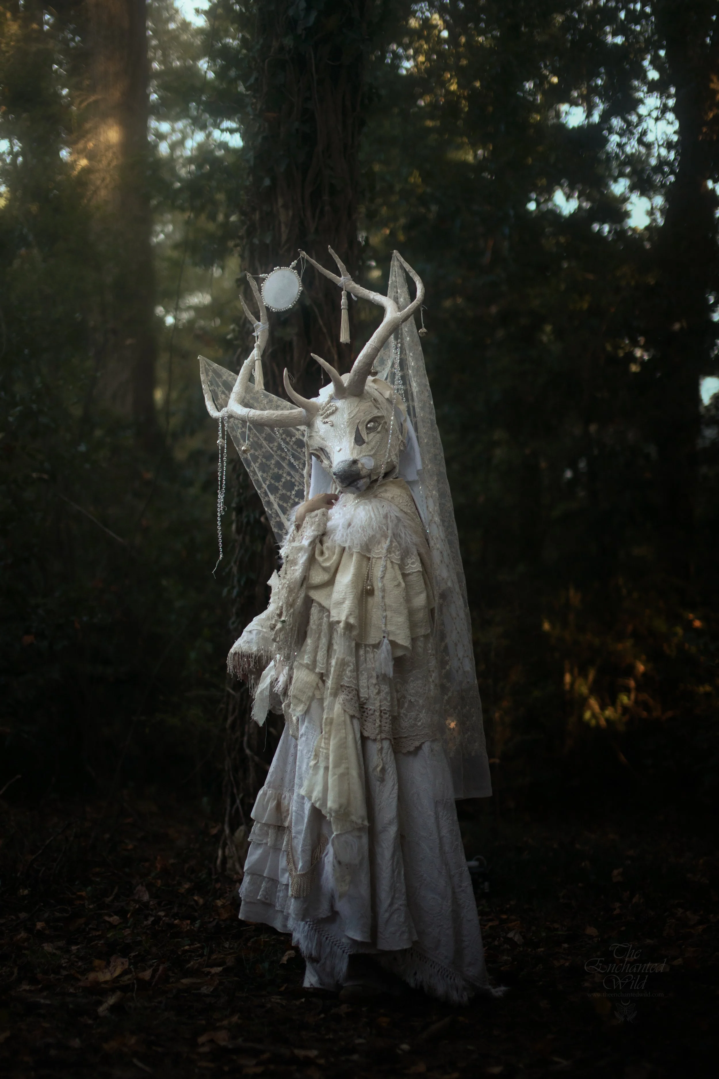 Mushrooms & Moons-4.jpg