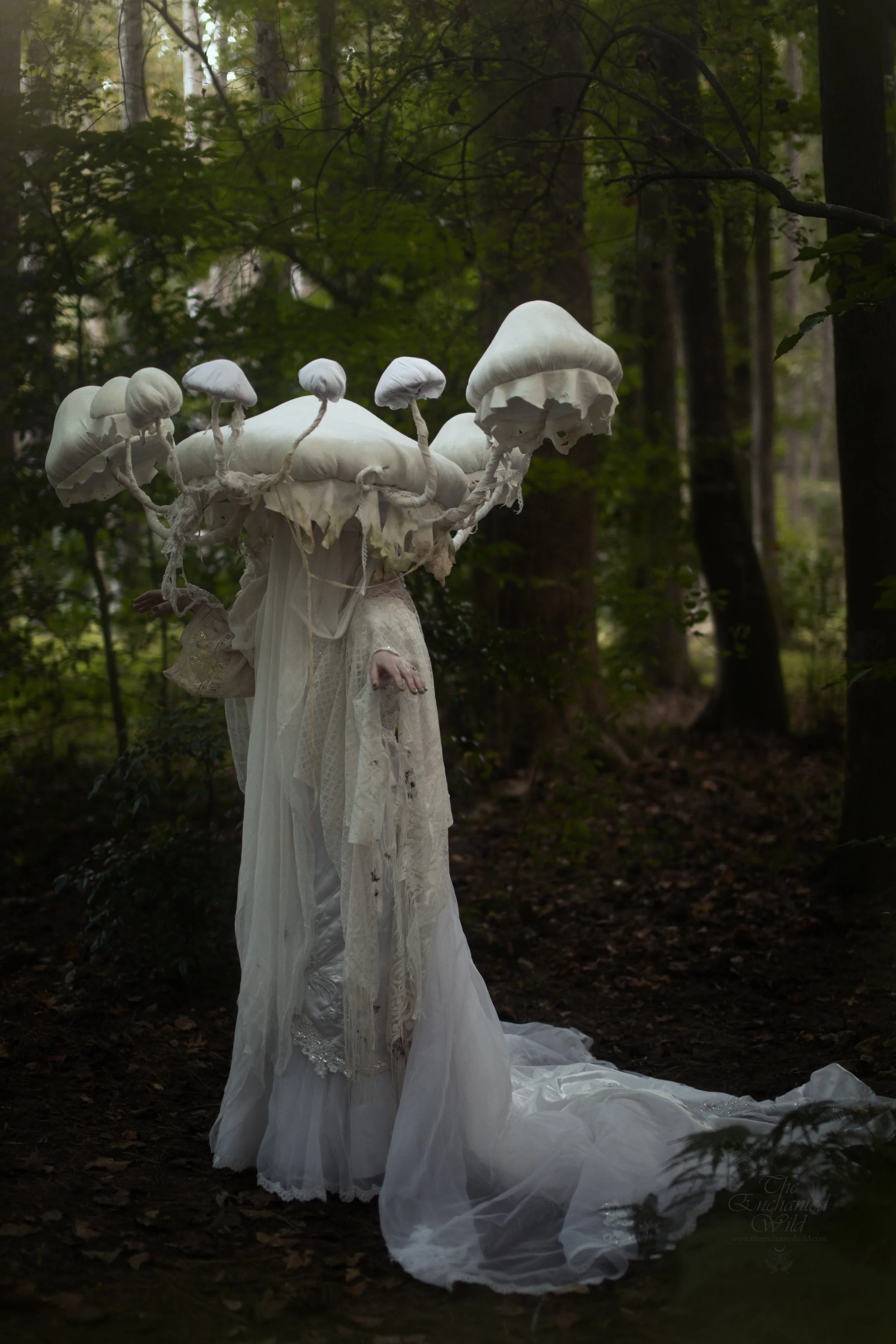 Mushrooms & Moons-21.jpg