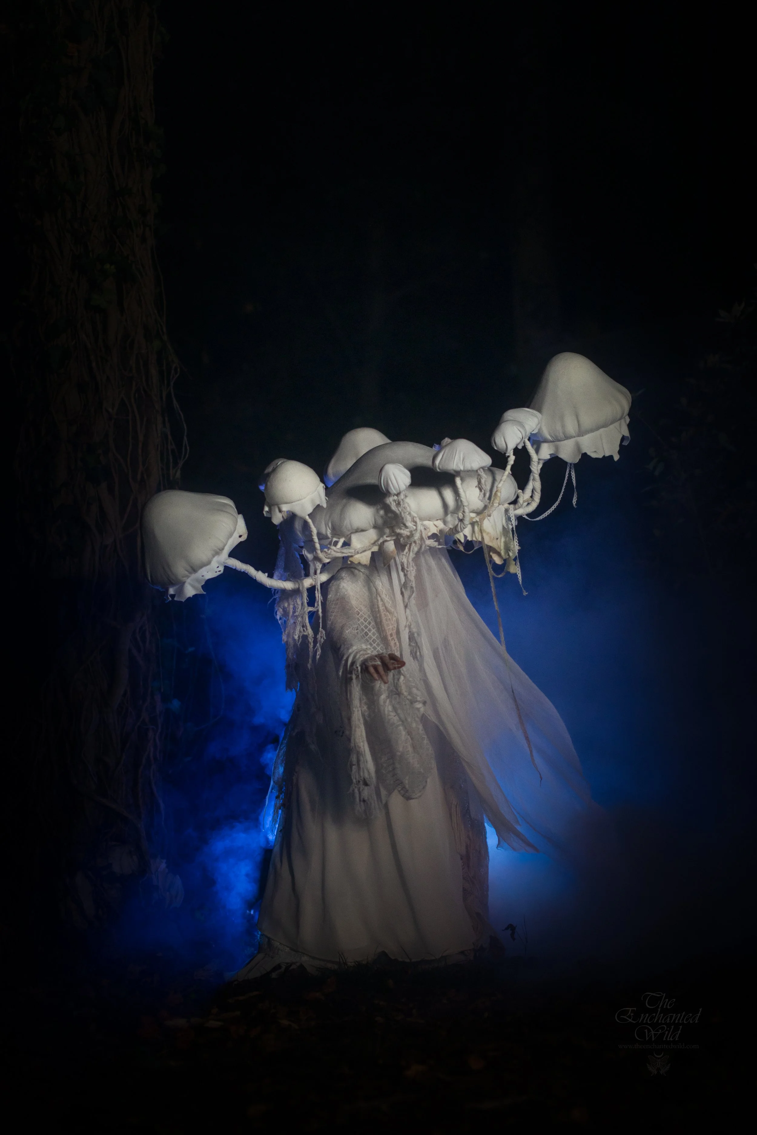 Mushrooms & Moons-44.jpg