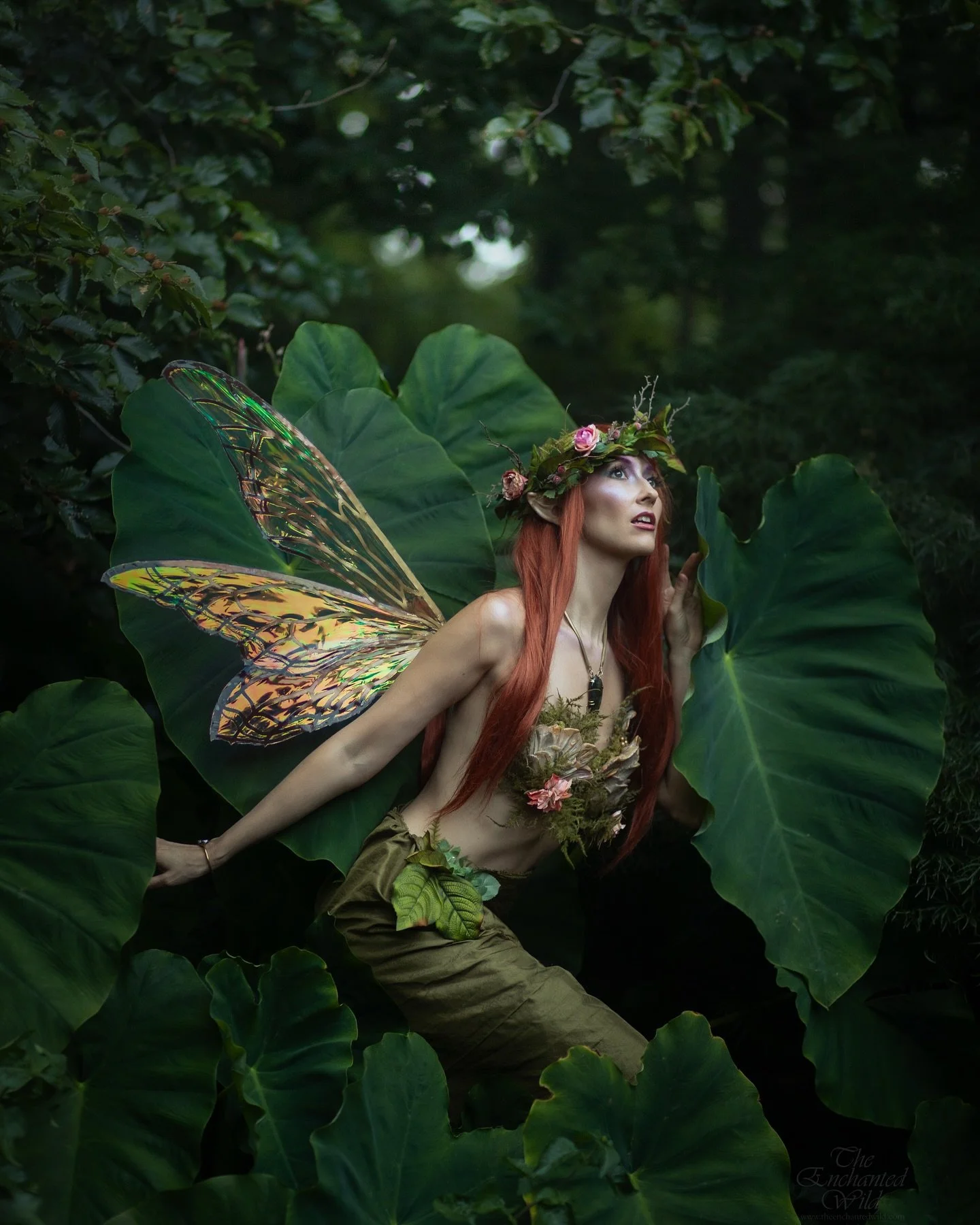 The delicate dance between summer and autumn, heat-drenched sun spots and leaves turning golden. Our Lughnasadh faerie twirls amid the garden&rsquo;s lingering greenery and blooming orange flowers. 
Another perfect day celebrating our changing landsc