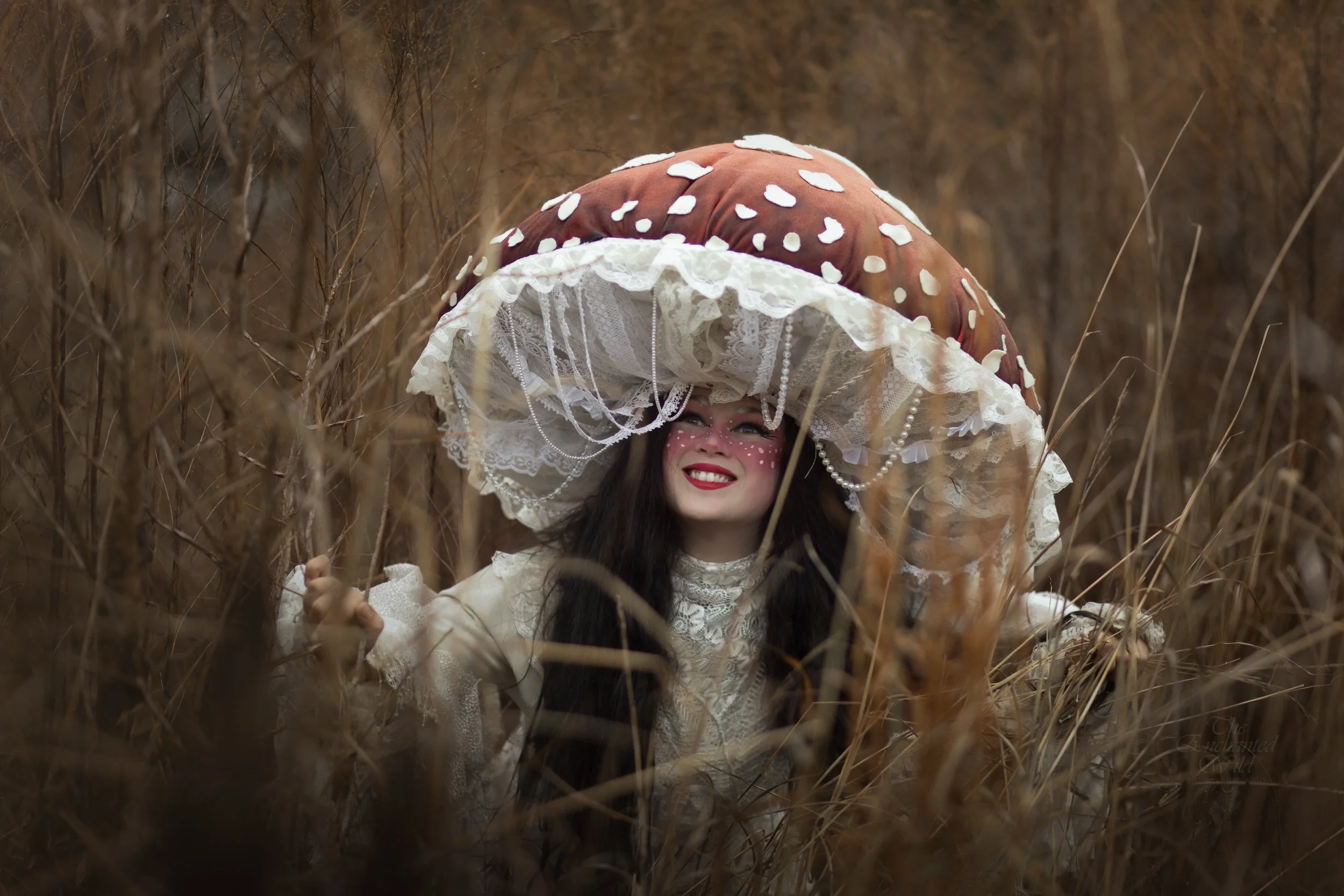 Classic Red Mushroom