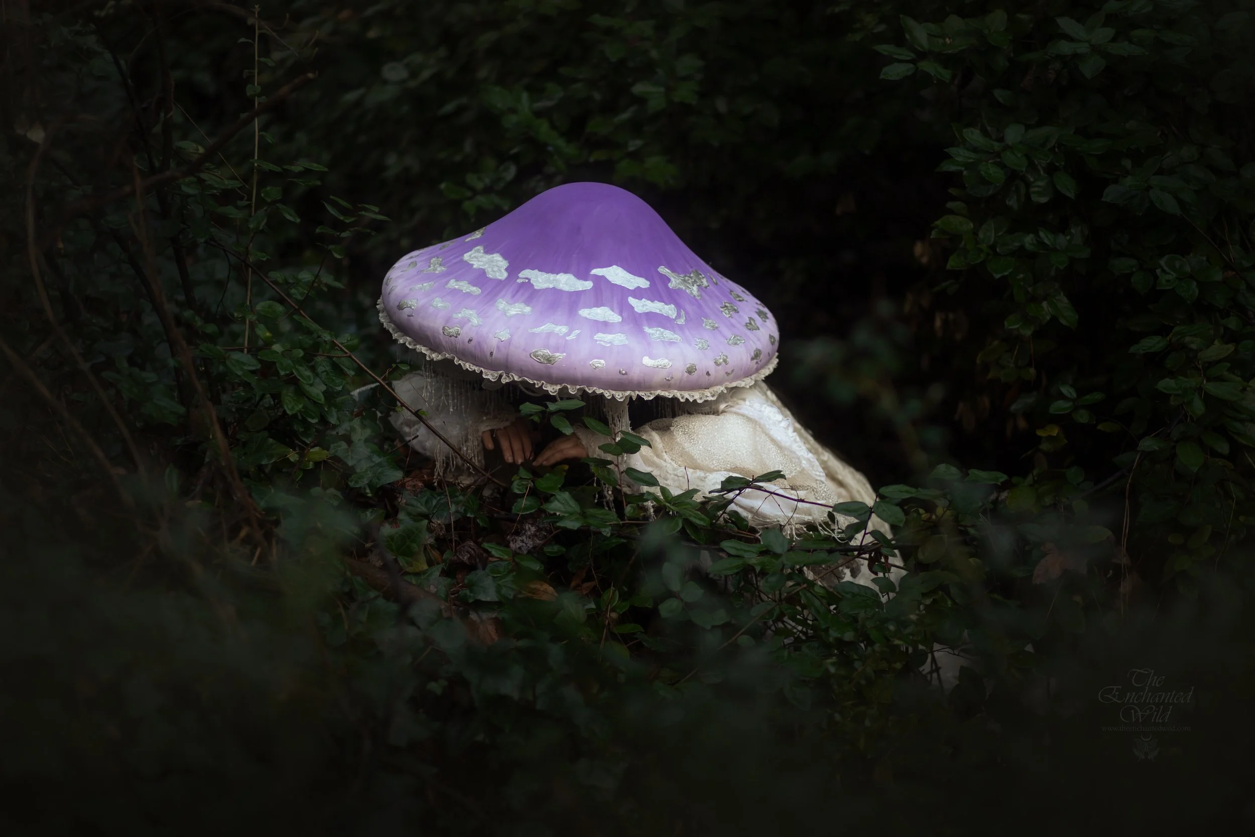 Purple Mushroom