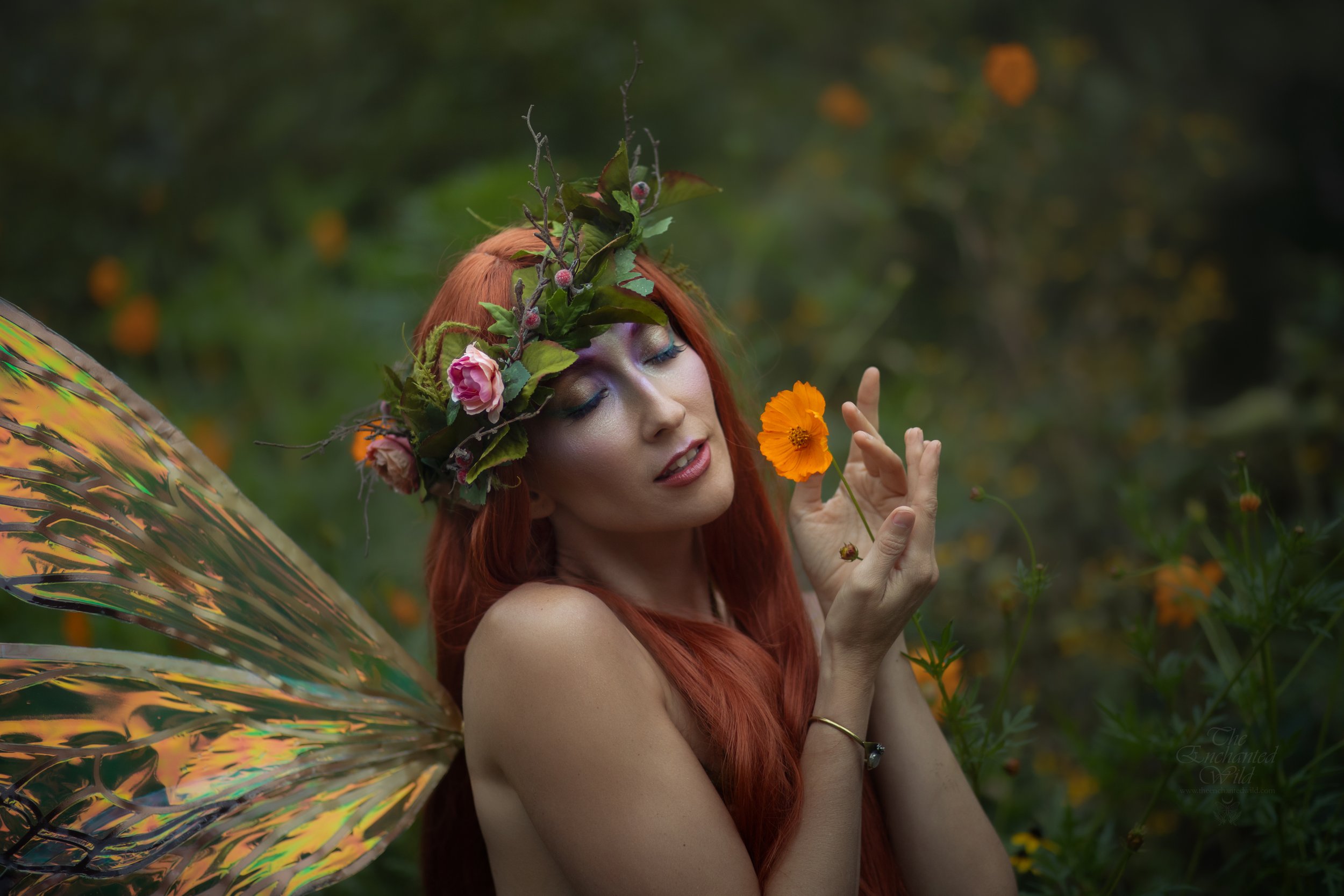 Faerie-2.jpg